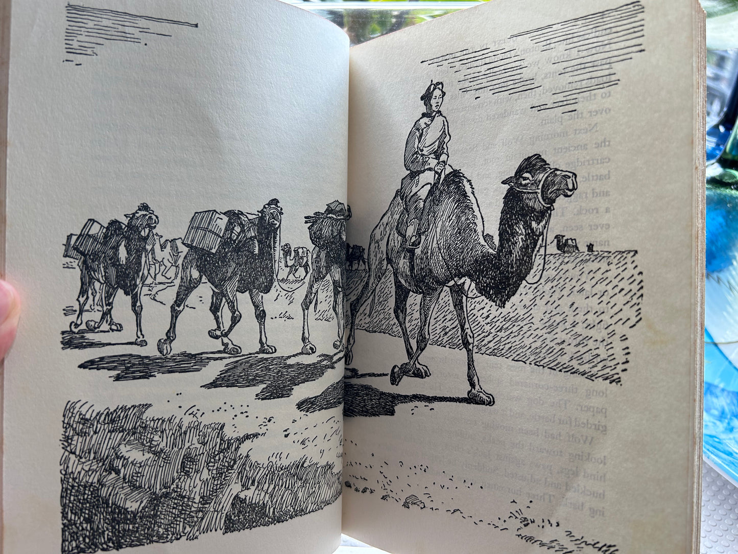 羅伊·查普曼·安德魯斯《沙漠探險》(首版七刷) Quest in the Desert by Roy Chapman Andrews (1966 Printing) – Viking Press