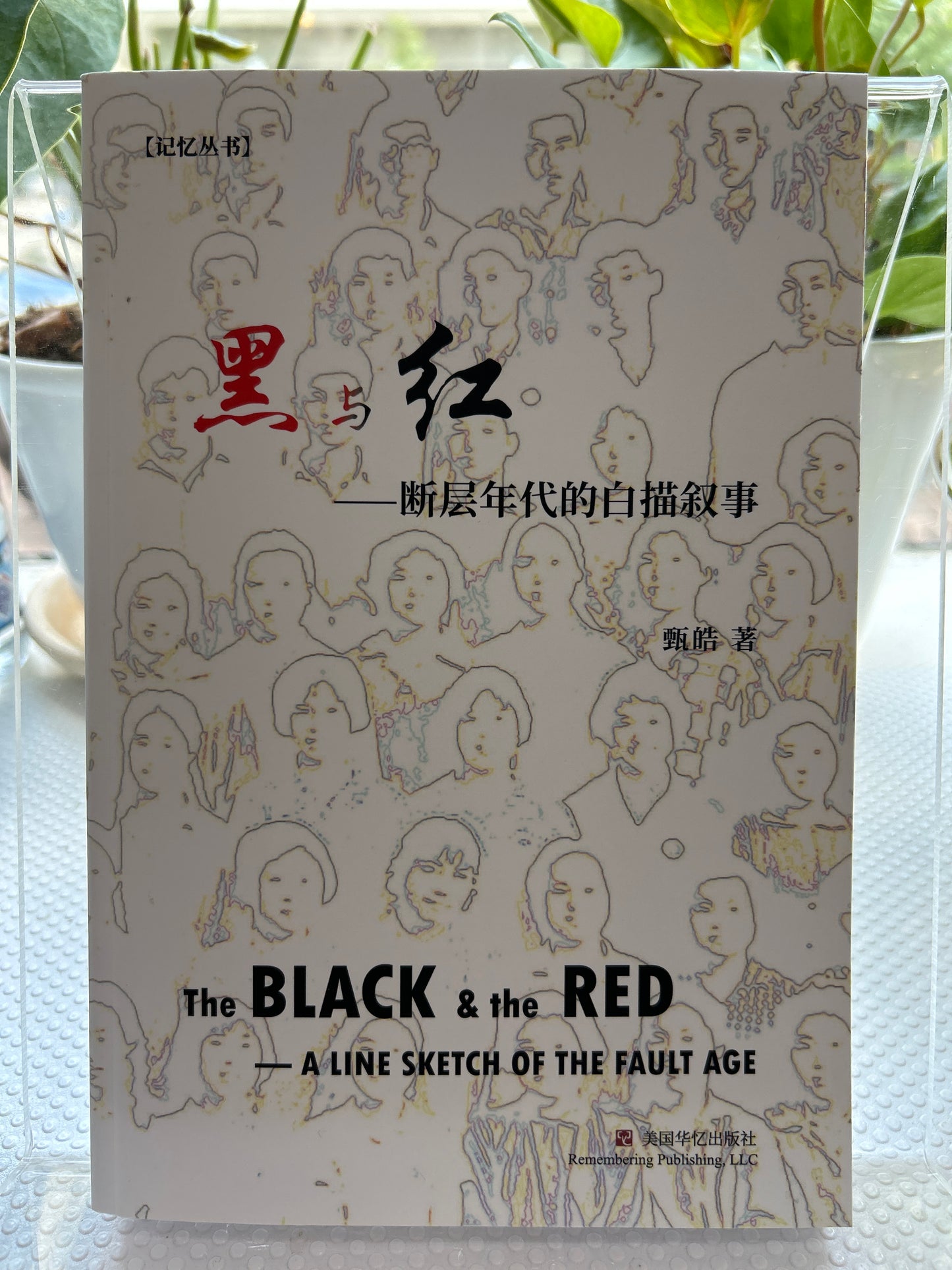 黑与红: 断层年代的白描叙事