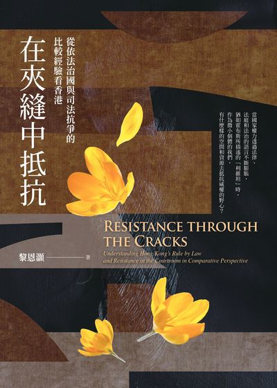 在夹缝中抵抗: 从依法治国与司法抗争的比较经验看香港
