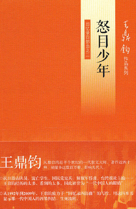 怒目少年:回忆录四部曲之二
