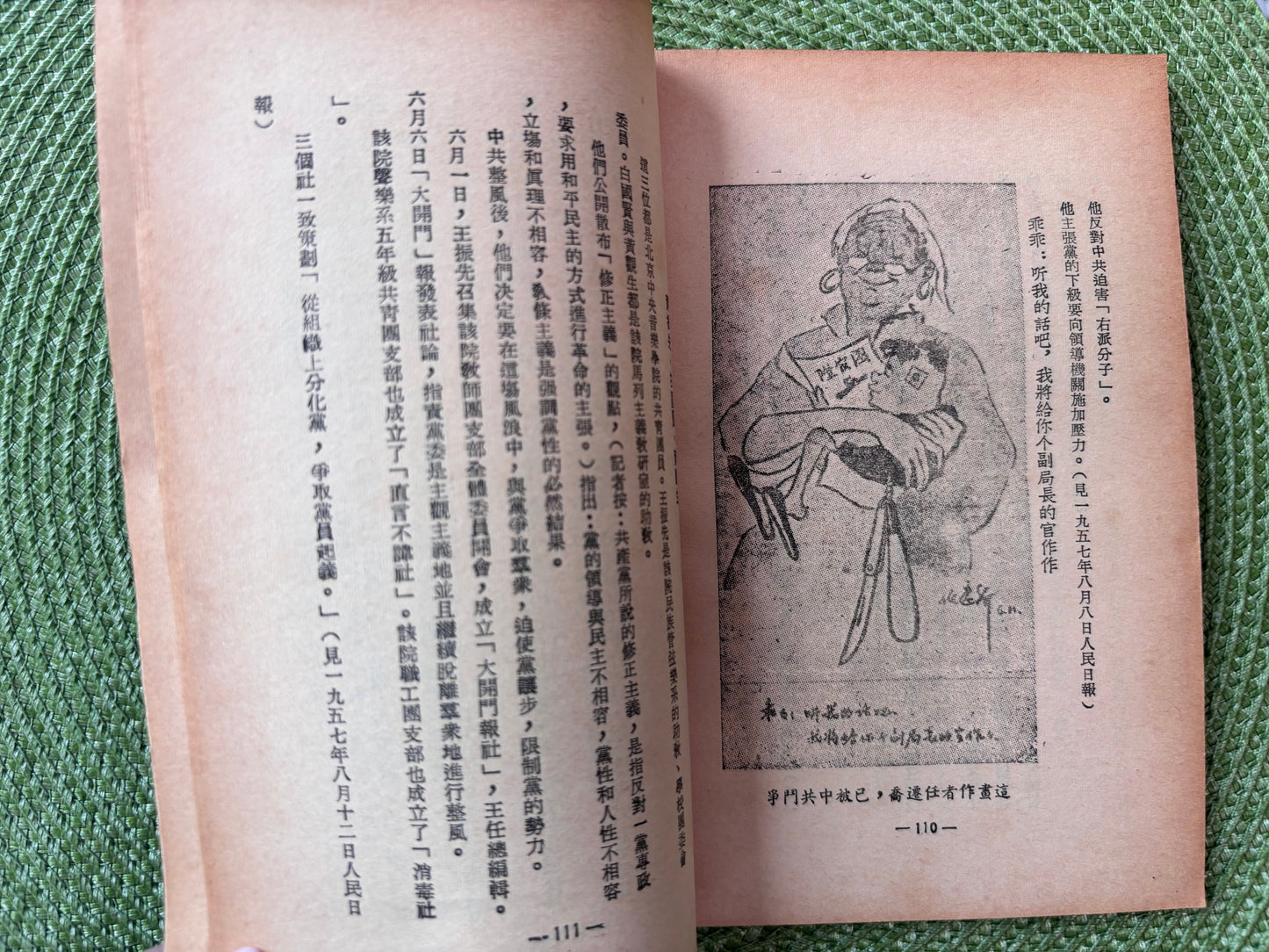 黨天下與黨國家(第一冊)