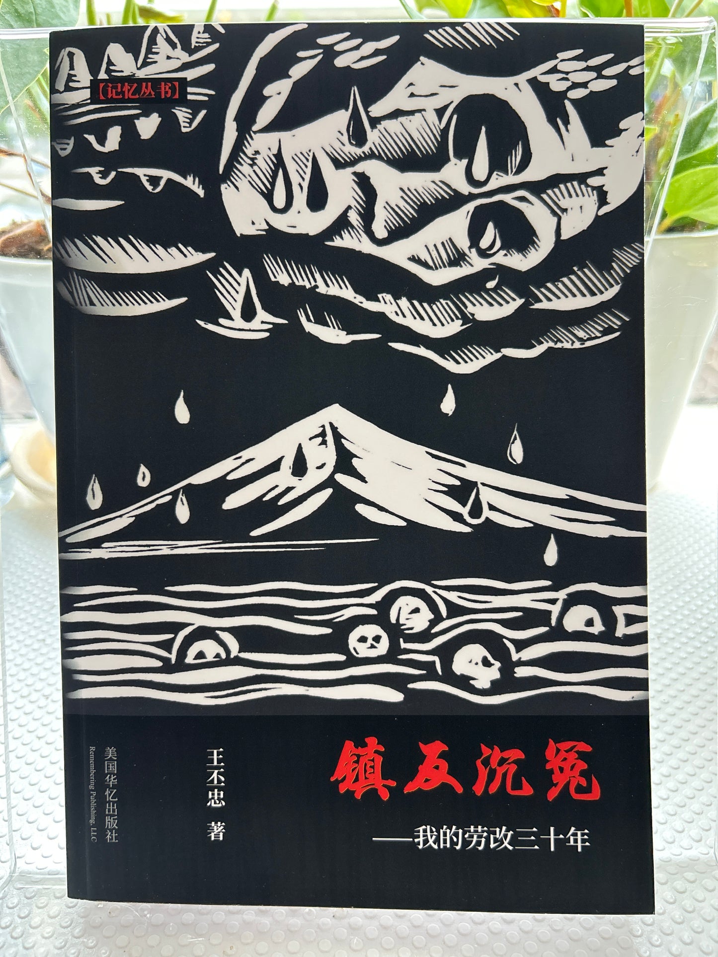 镇反沉冤: 我的劳改三十年