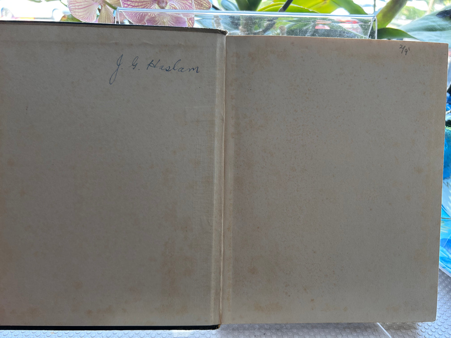 1928年首版《筷子》作者 F. I. Codrington(Helen Jacobs 插畫)Chopsticks by F. I. Codrington (Illustrated by Helen Jacobs) 1928 first edition