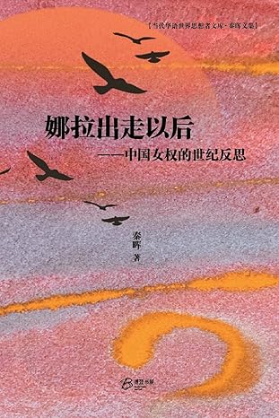 娜拉出走以后: 中国女权的世纪反思