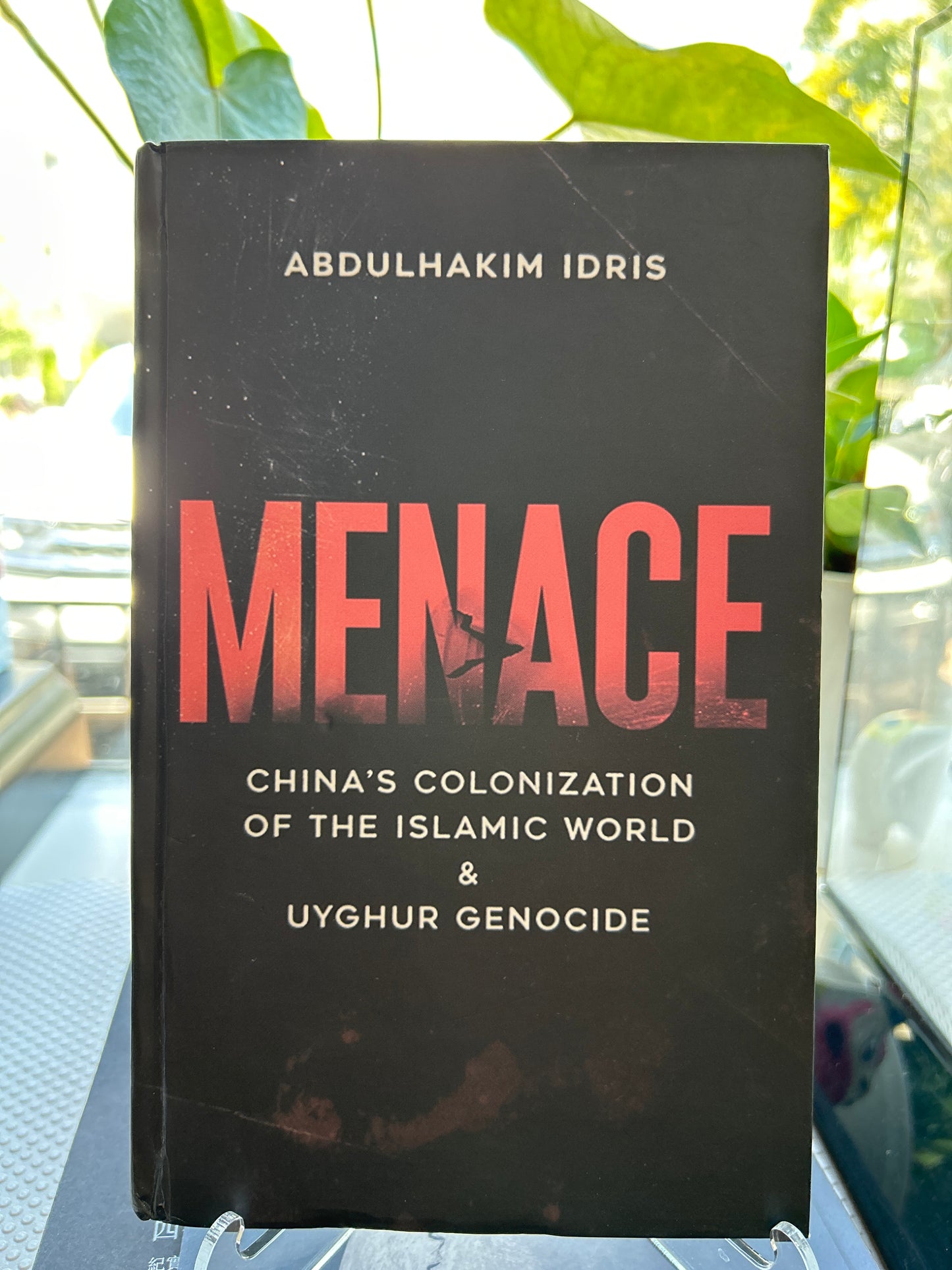 威脅:中國對伊斯蘭世界的殖民化和對維吾爾族的種族滅絕