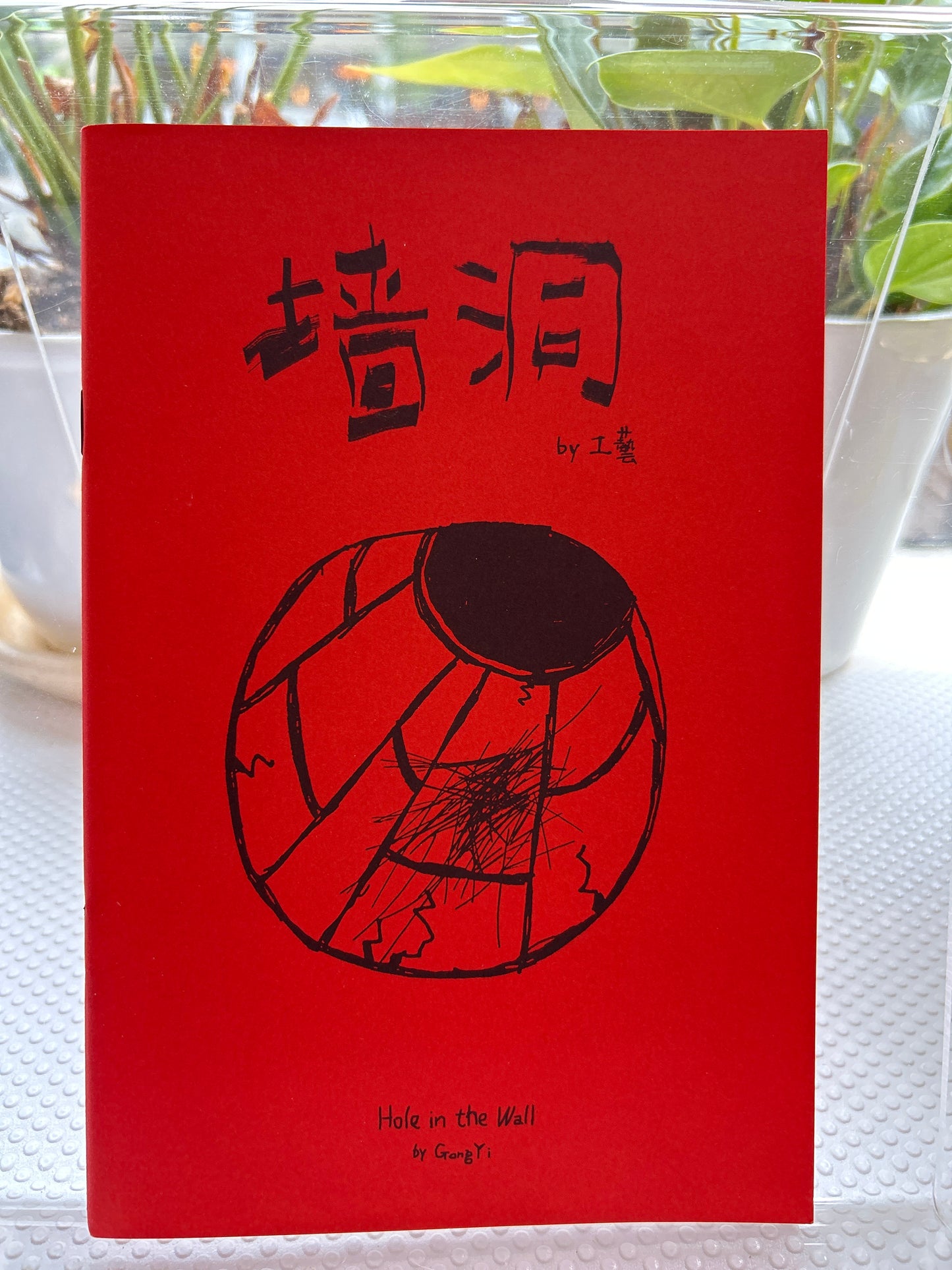 墙洞