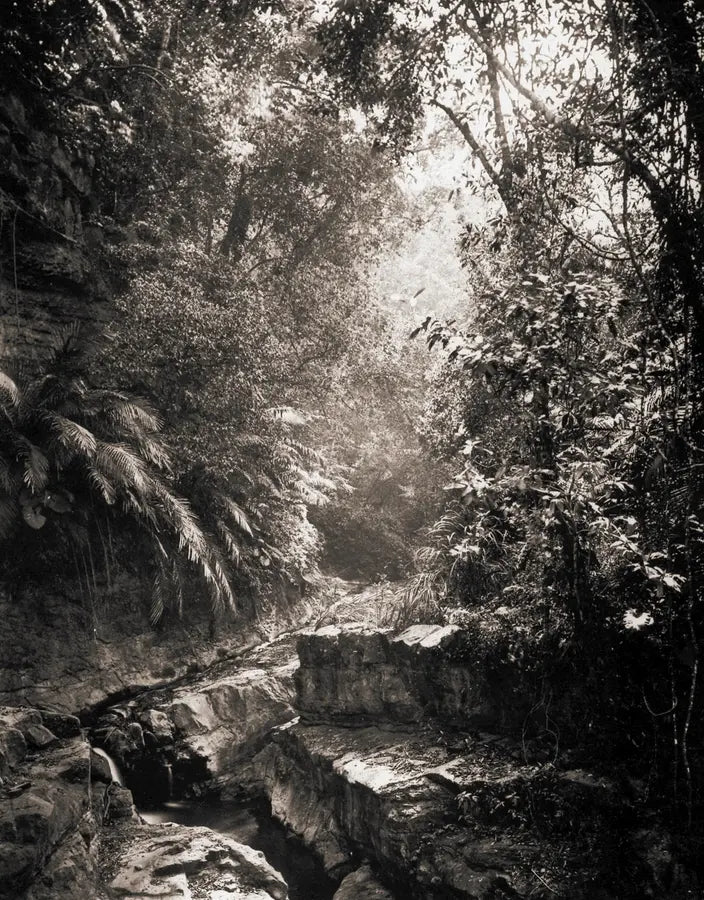 凝视时代: 日治时期写真馆