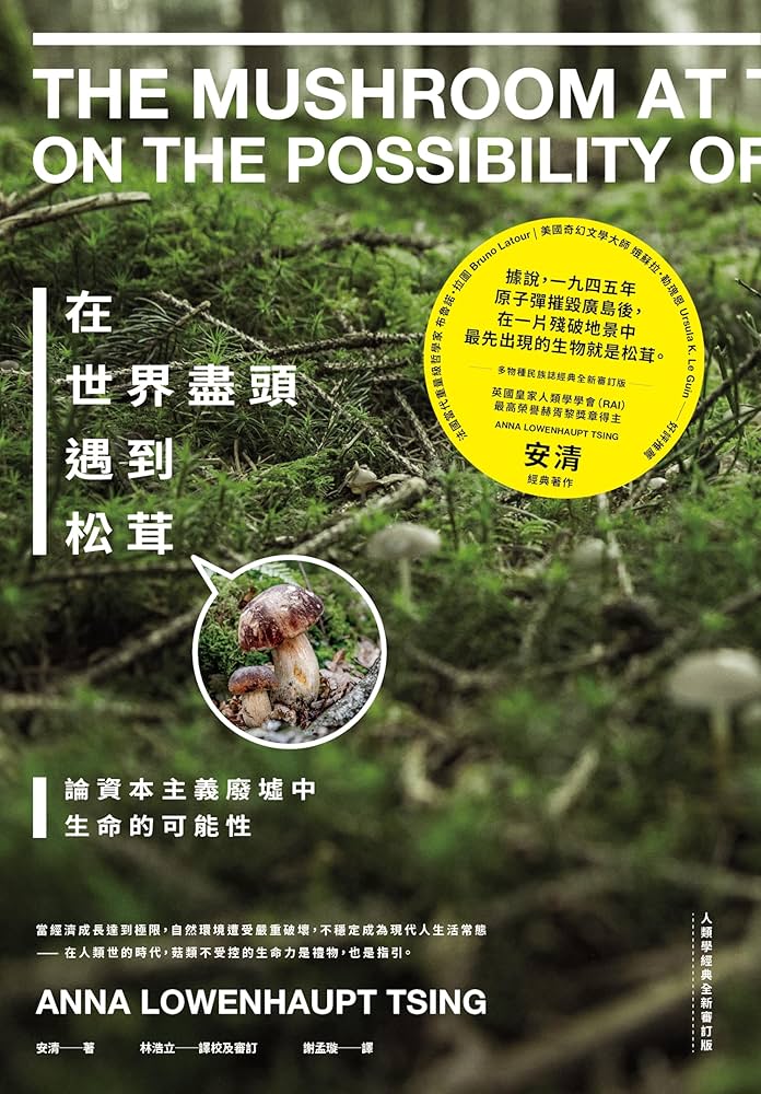 在世界尽头遇到松茸