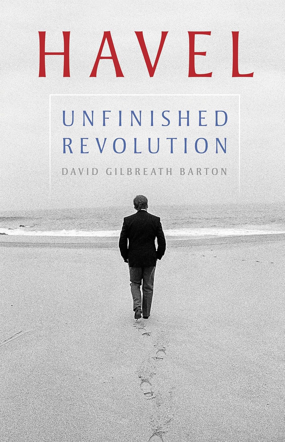 Havel: Unfinished Revolution (Russian and East European Studies)