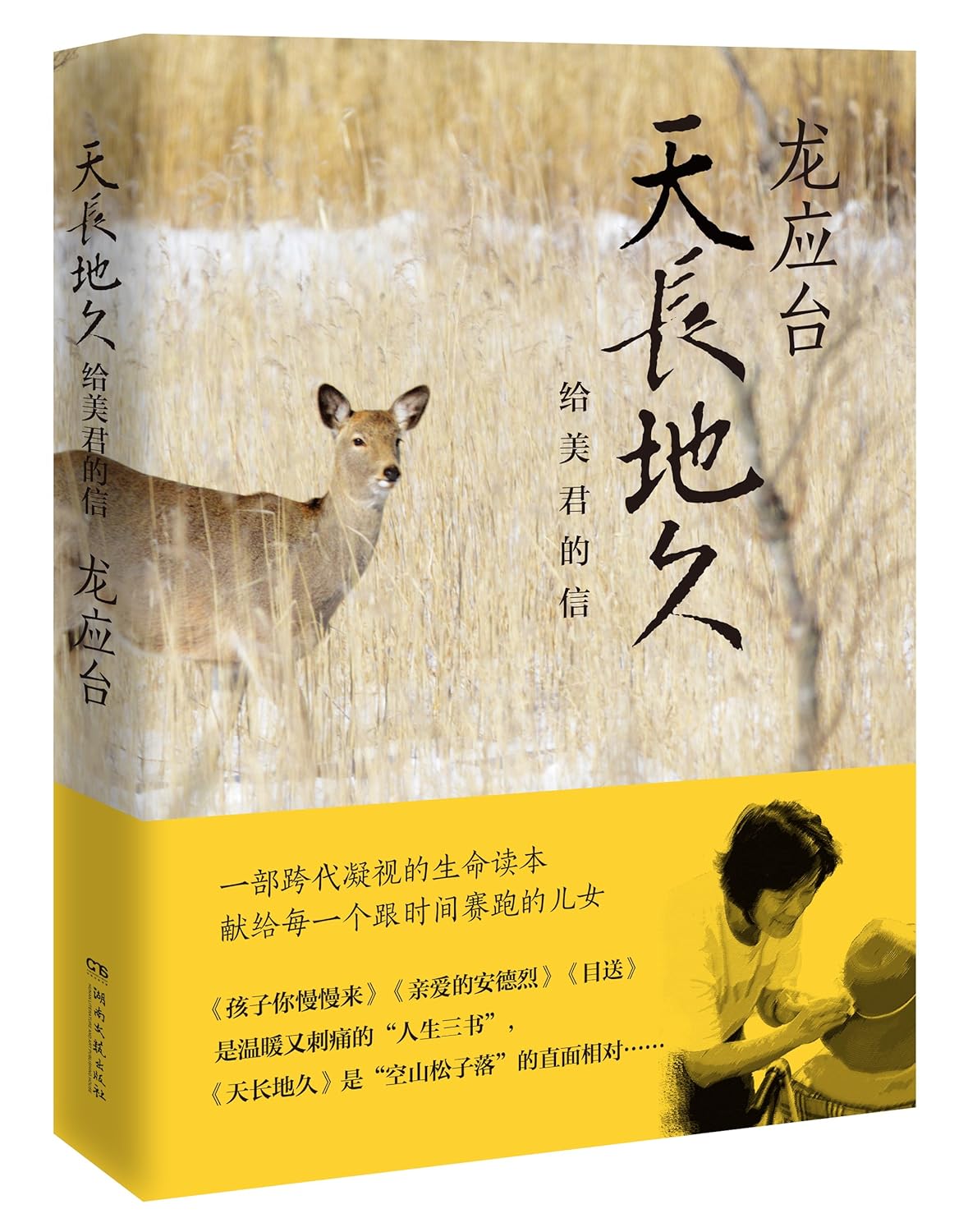 龙应台作品 天长地久:给美君的信