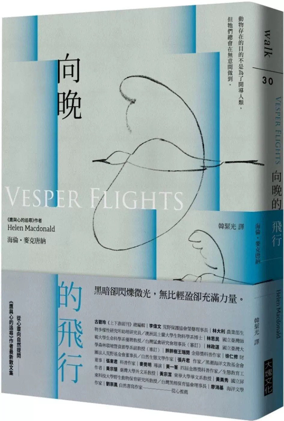 向晚航班