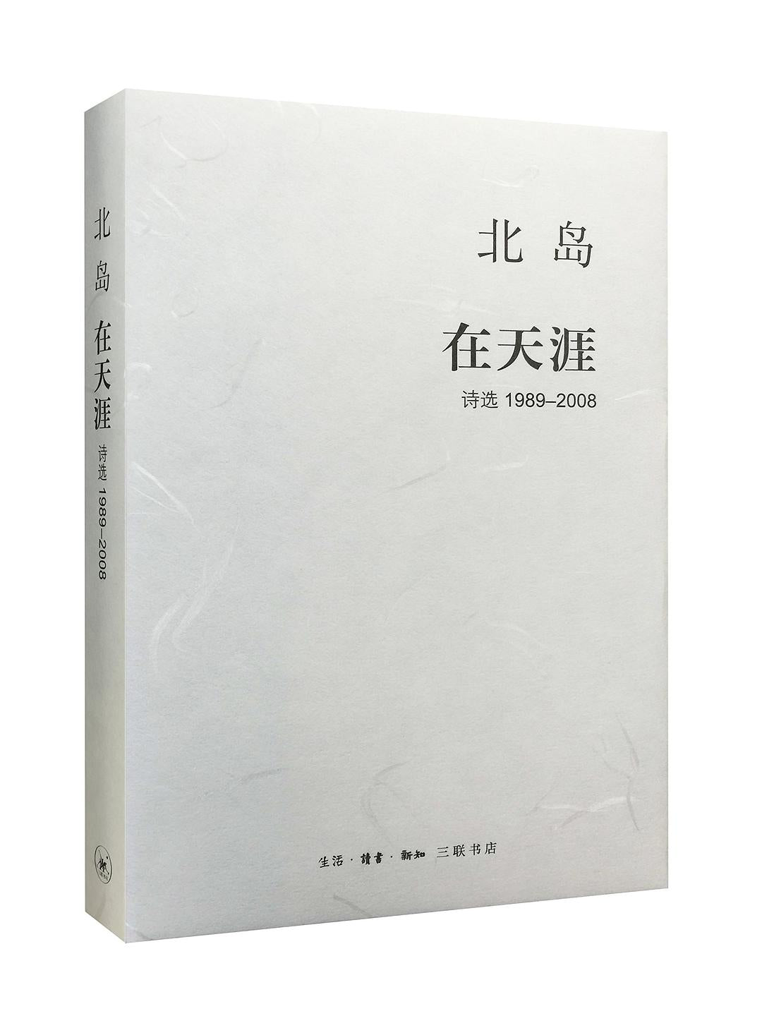 在天涯:诗选(1989-2008)