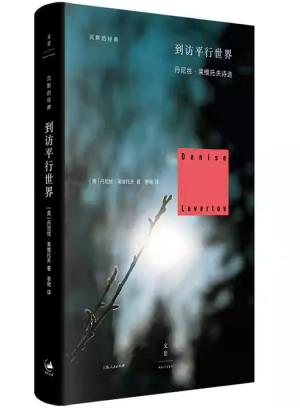 到访平行世界
