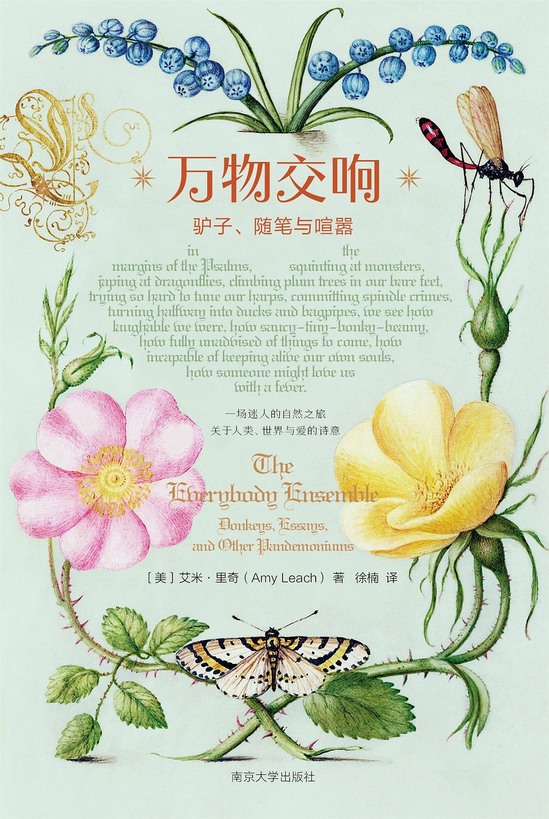 萬物交響:驢子、隨筆與喧囂