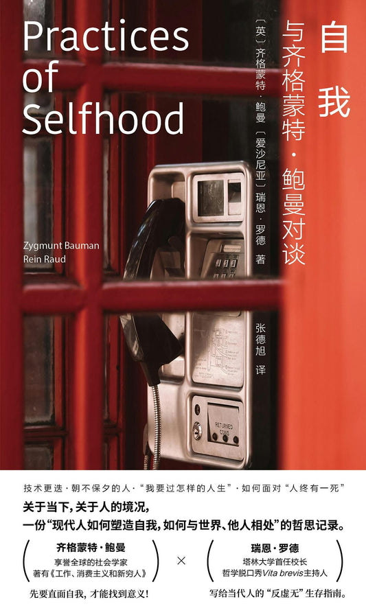 自我: 与齐格蒙特·鲍曼对谈