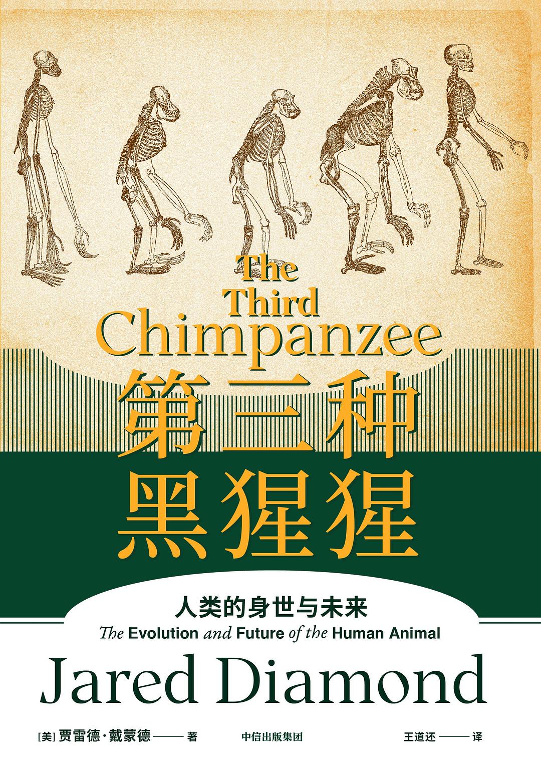 第三種黑猩猩