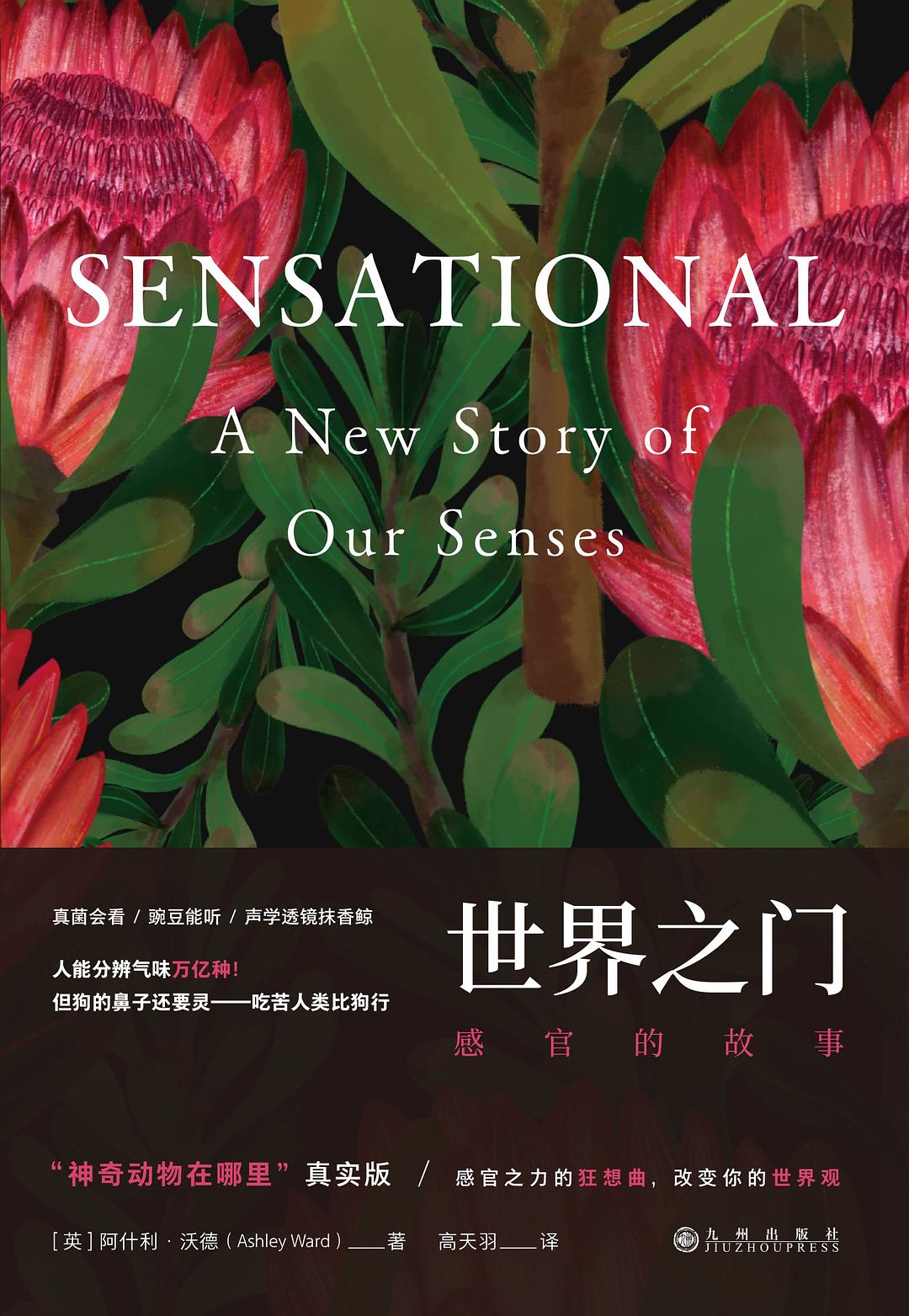世界之門:感官的故事
