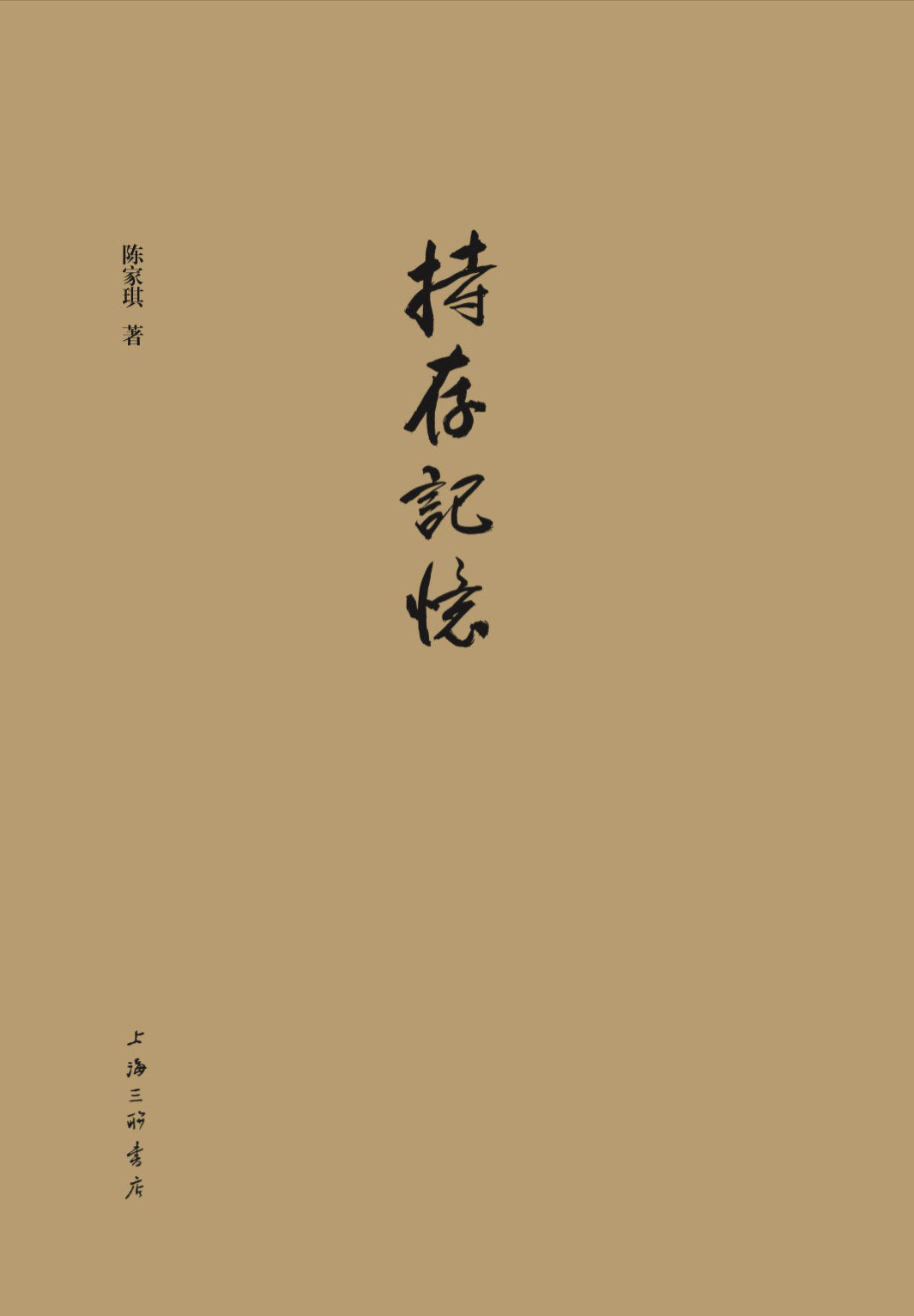 持存记忆