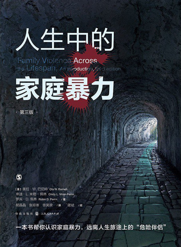 人生中的家庭暴力(第三版)