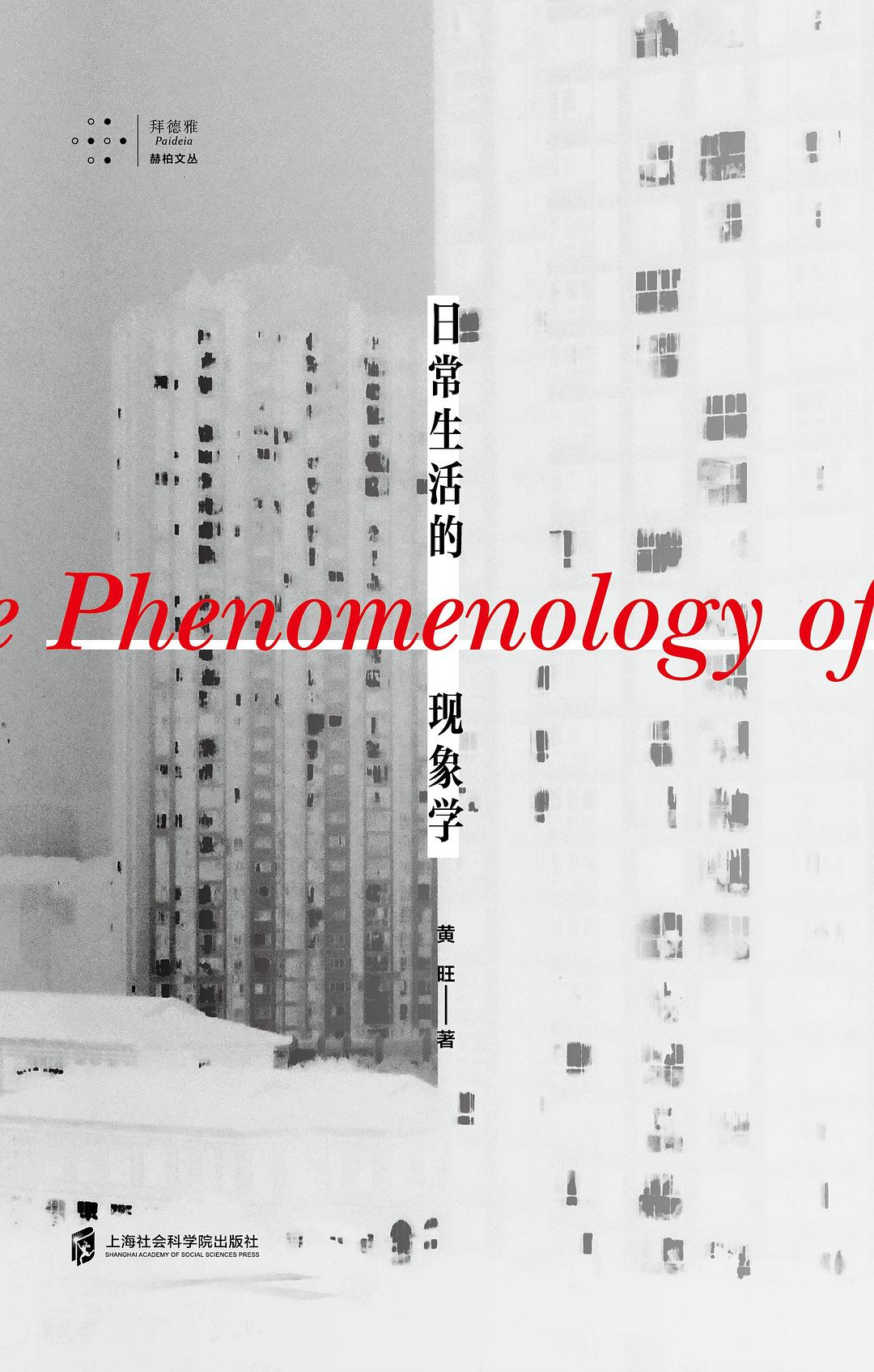 日常生活的现象学-拜德雅