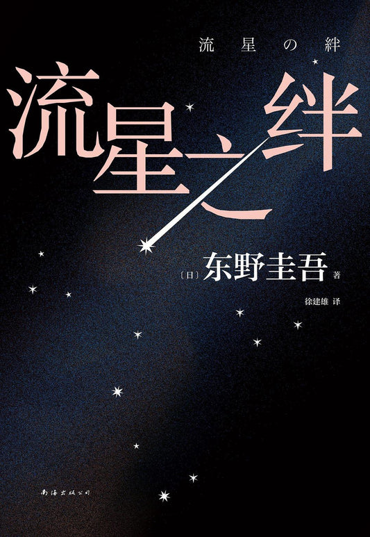 東野圭吾作品10:流星之絆