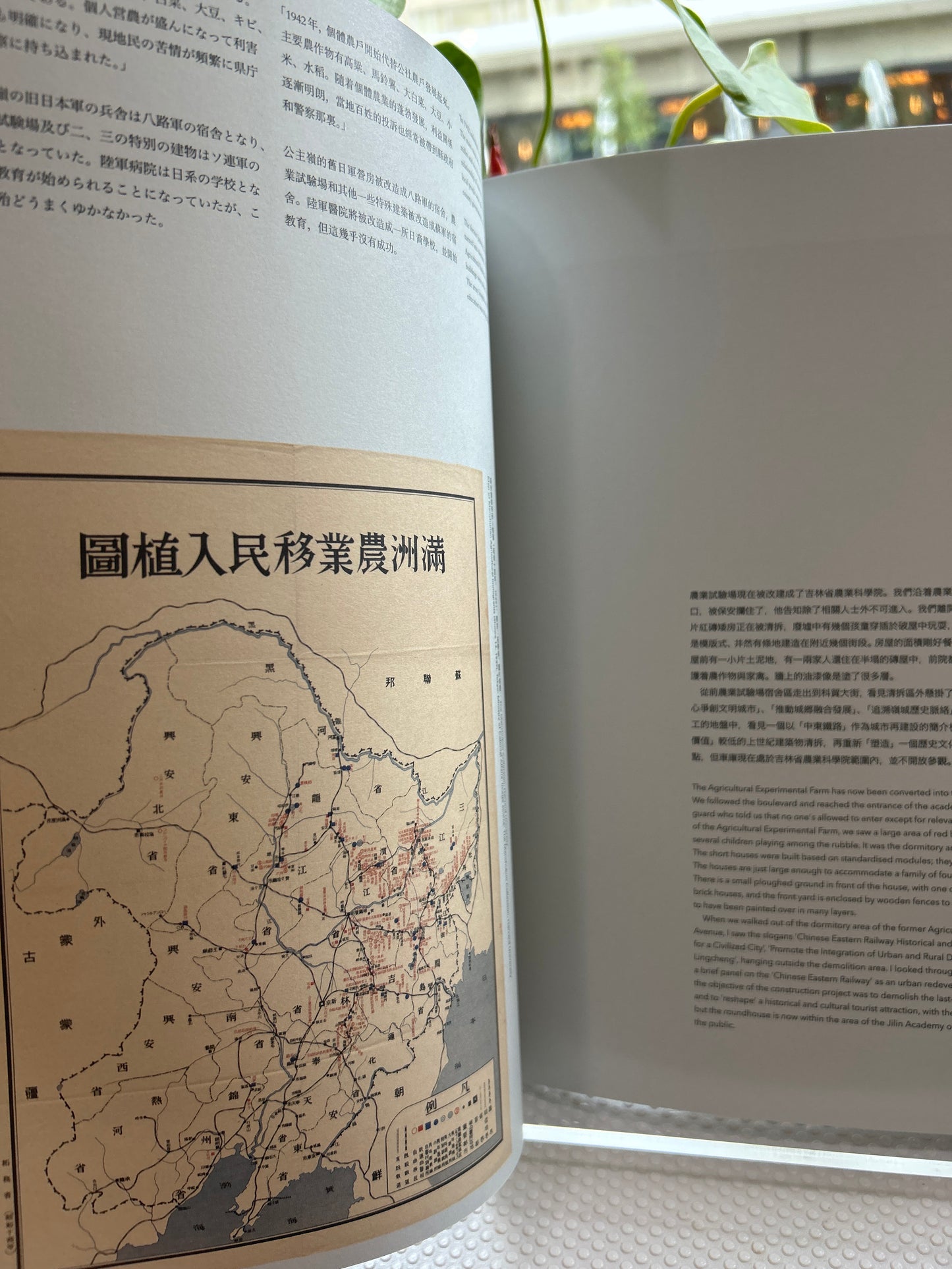 无苦无忧(No Misery)