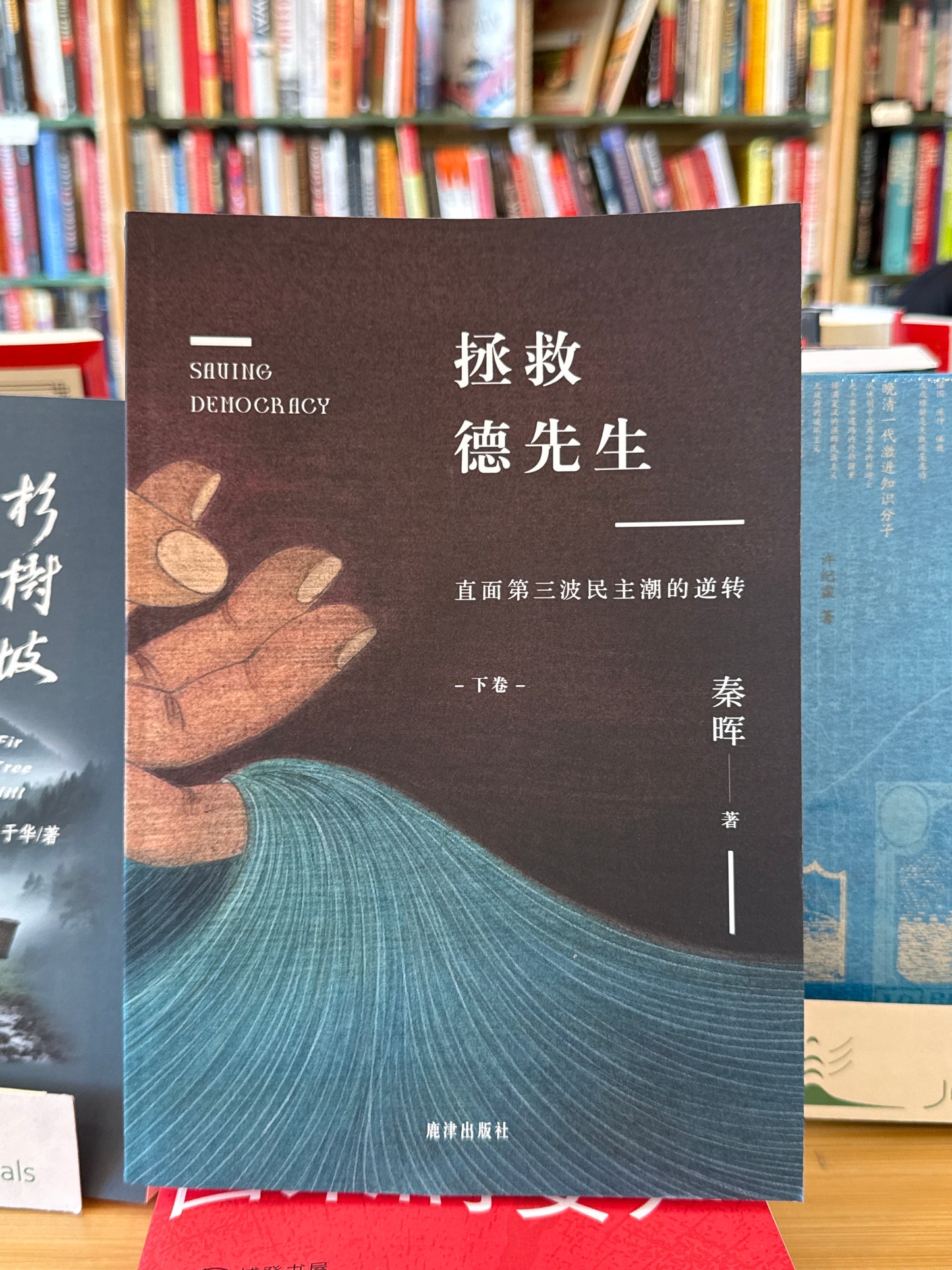 拯救德先生:直面第三波民主潮的逆轉(上下冊)