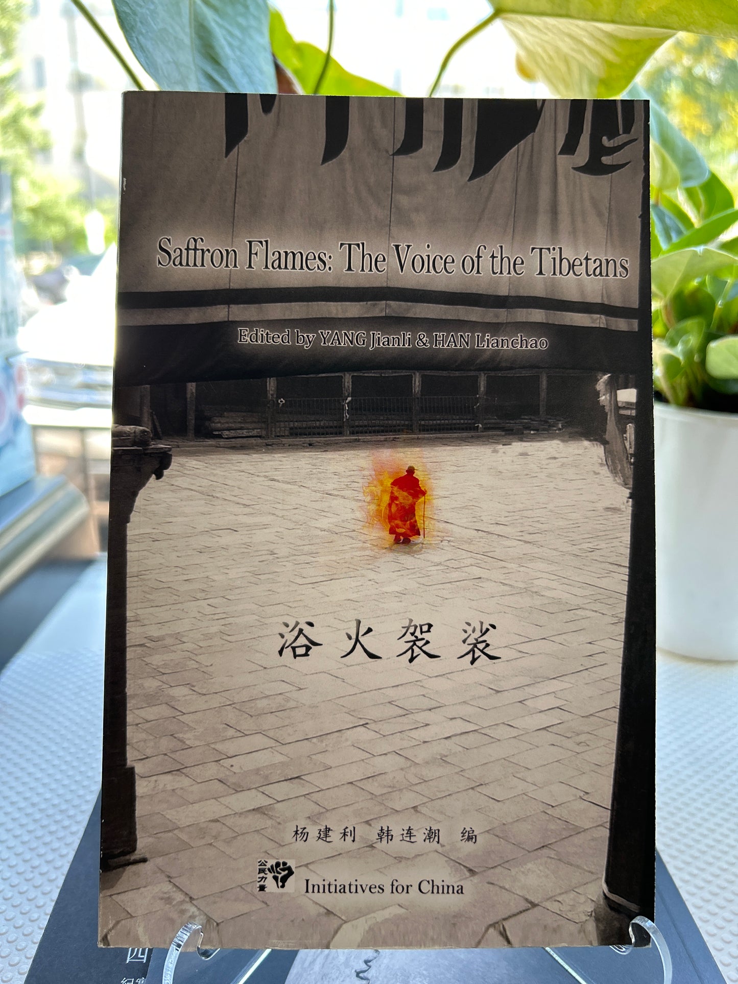 浴火袈裟藏紅花火焰:藏人的聲音