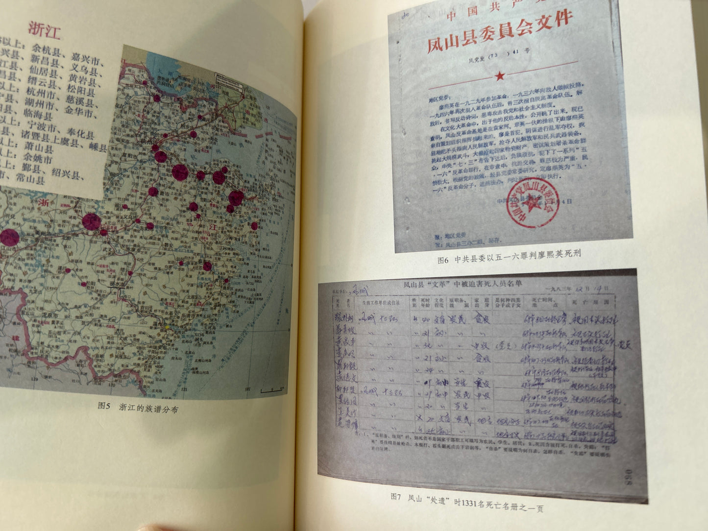 强龙逞威:中国改革前的反地方主义运动 秦晖