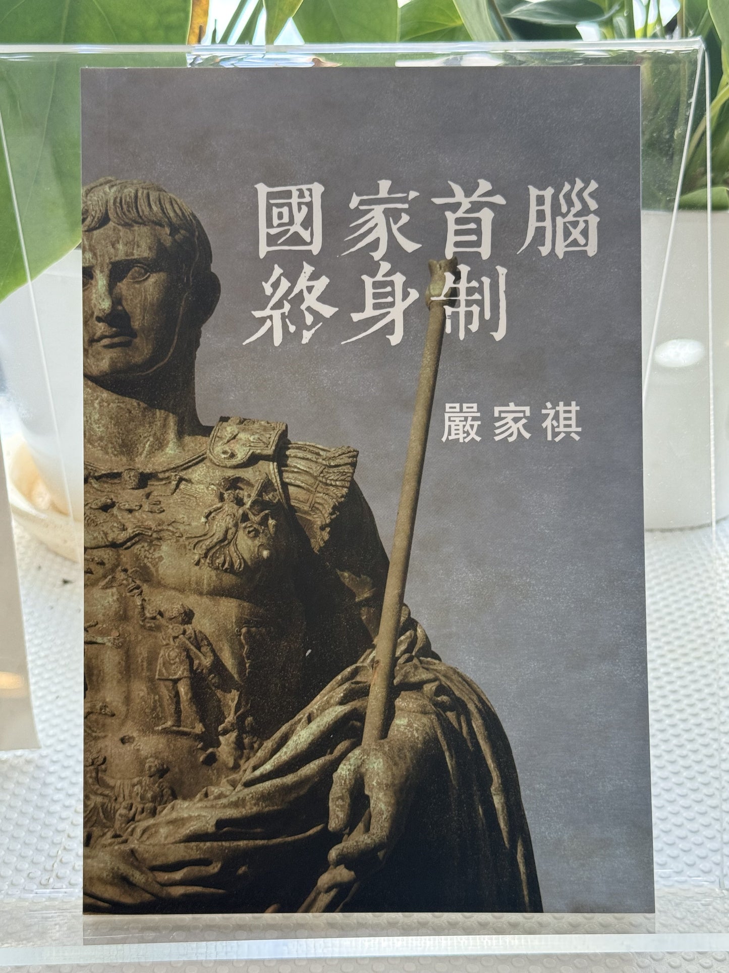 国家终身制*