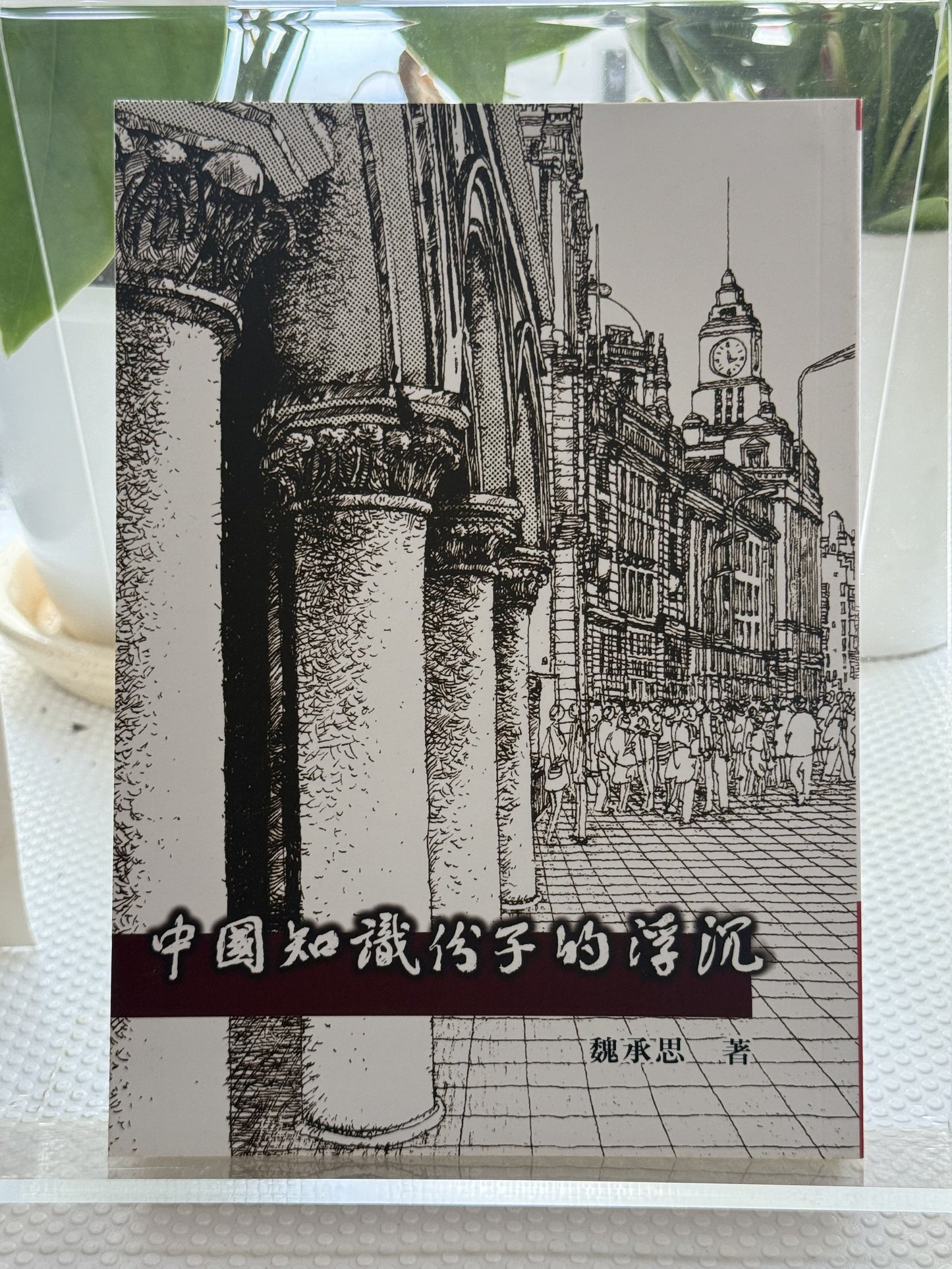 中国知识份子的浮沉*