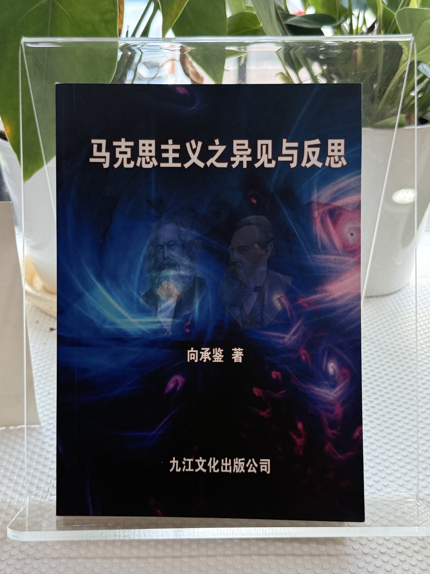 马克思主义之异见与反思*