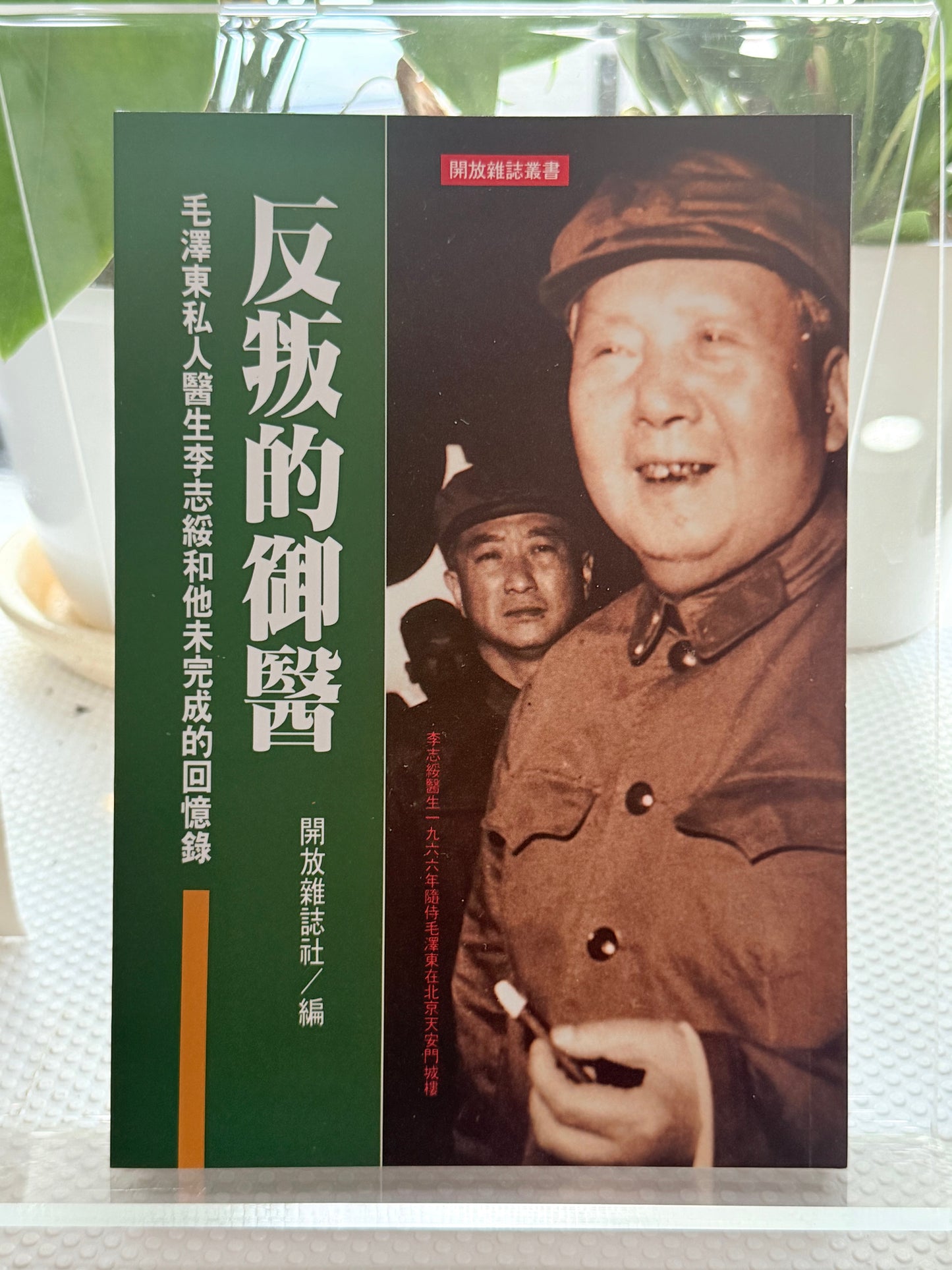 反叛的御医*