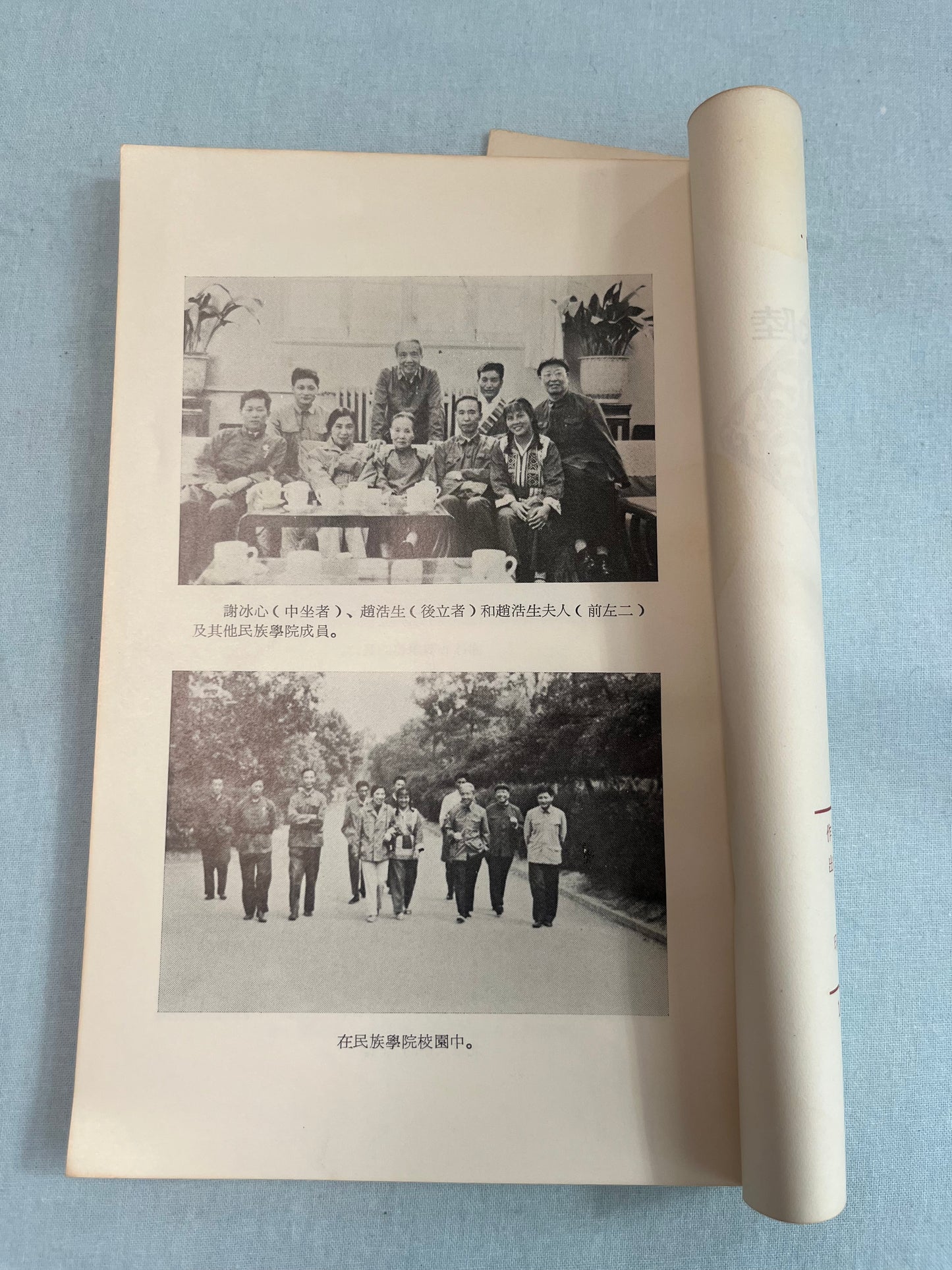 來自中國大陸的聲音1974版*
