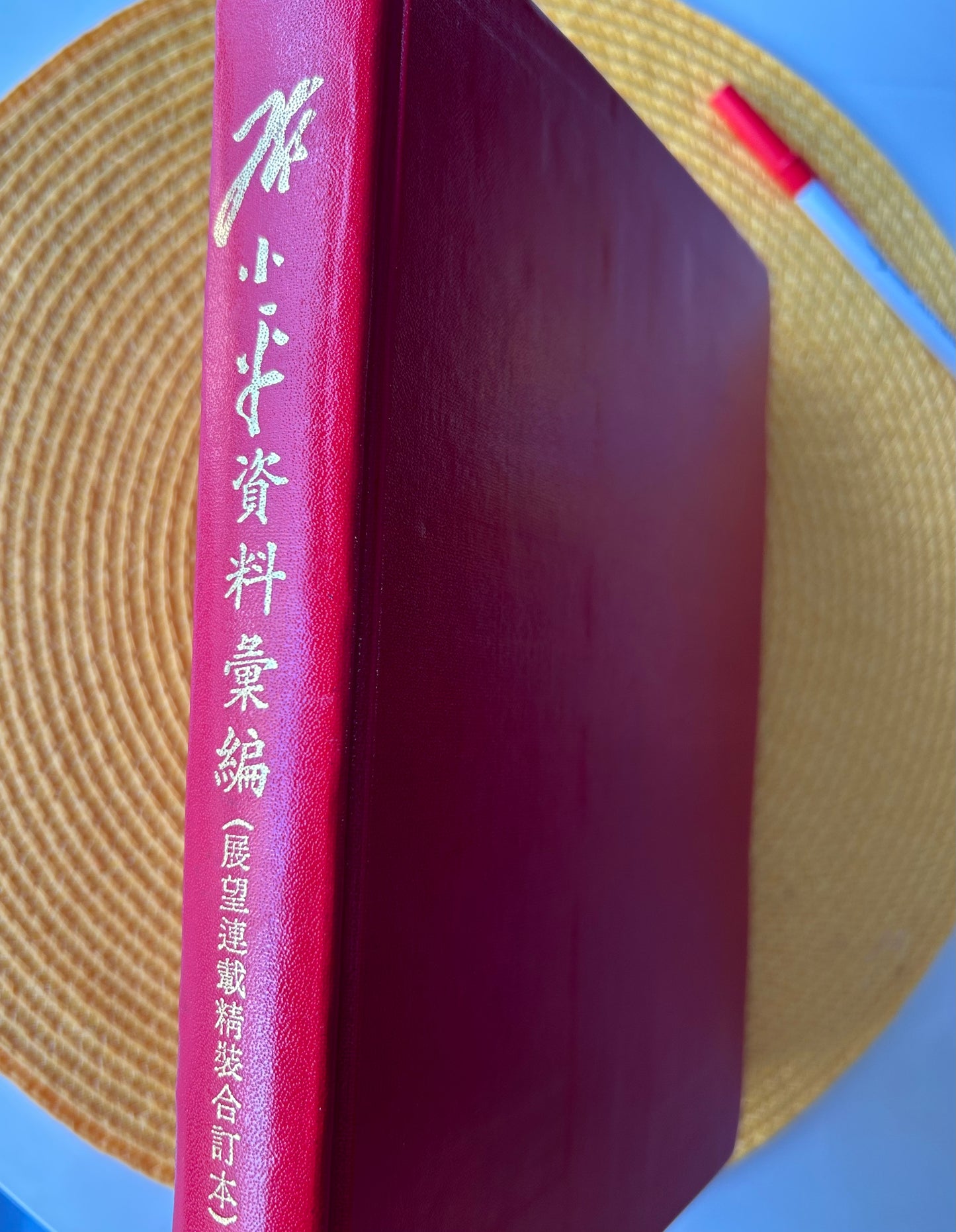 鄧小平資料彙編:展望連載合訂本