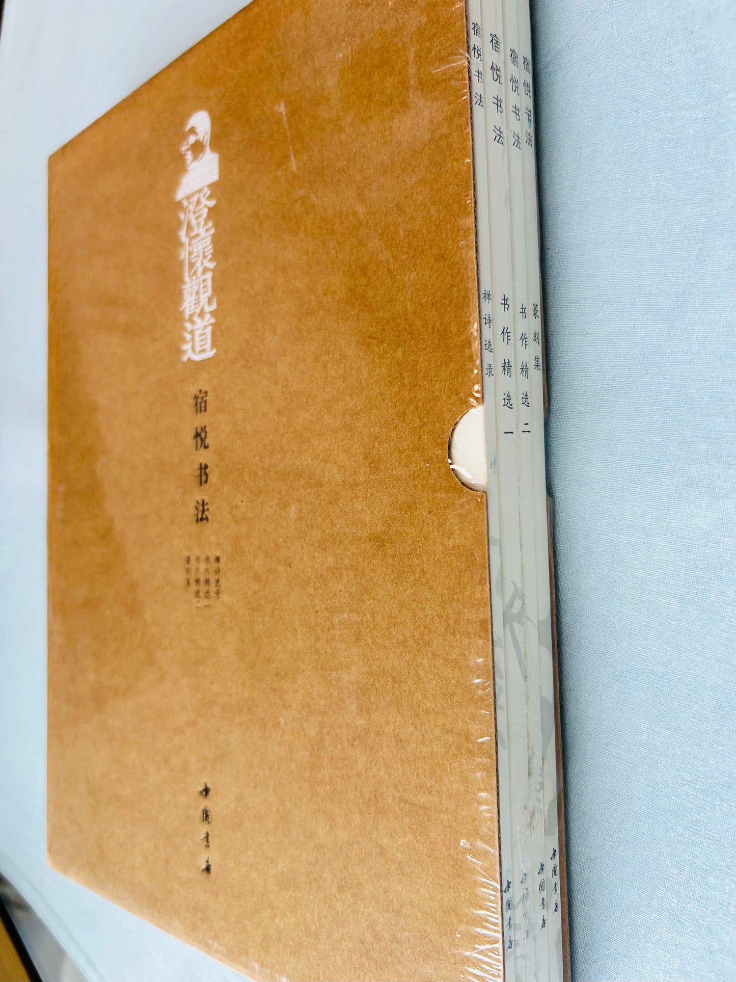 澄懷觀道 宿悦書法 (未開封)