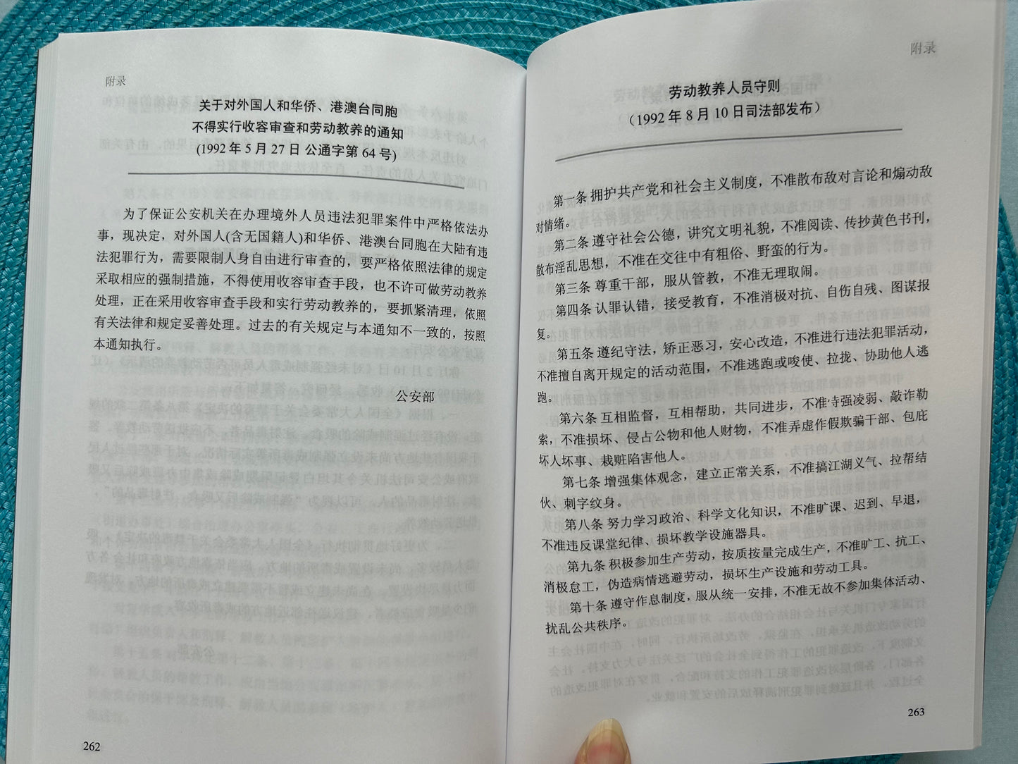勞動教養和留場就業——中共的專政工具