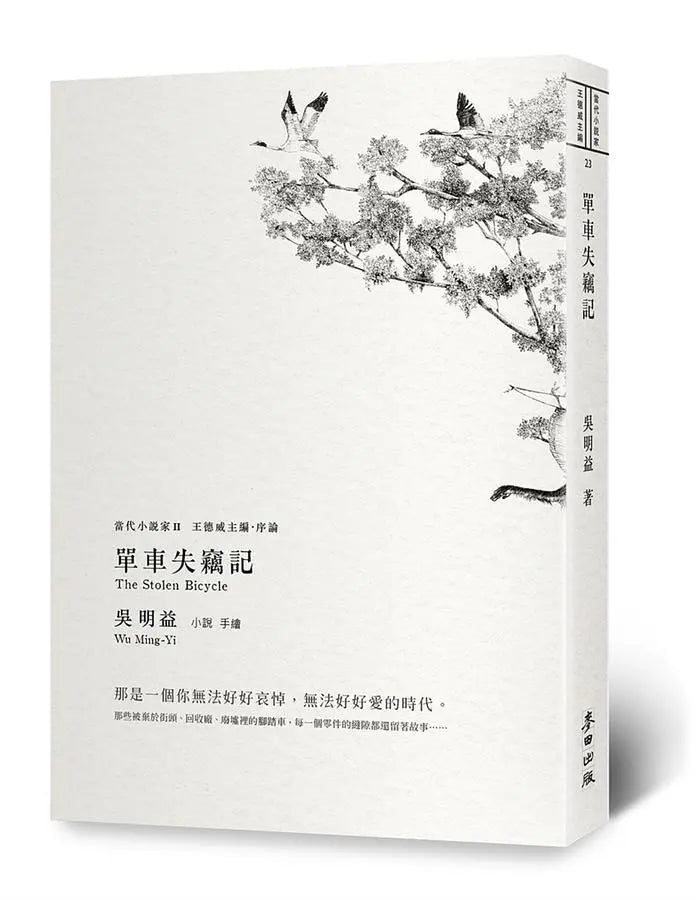 单车失窃记 (二版)