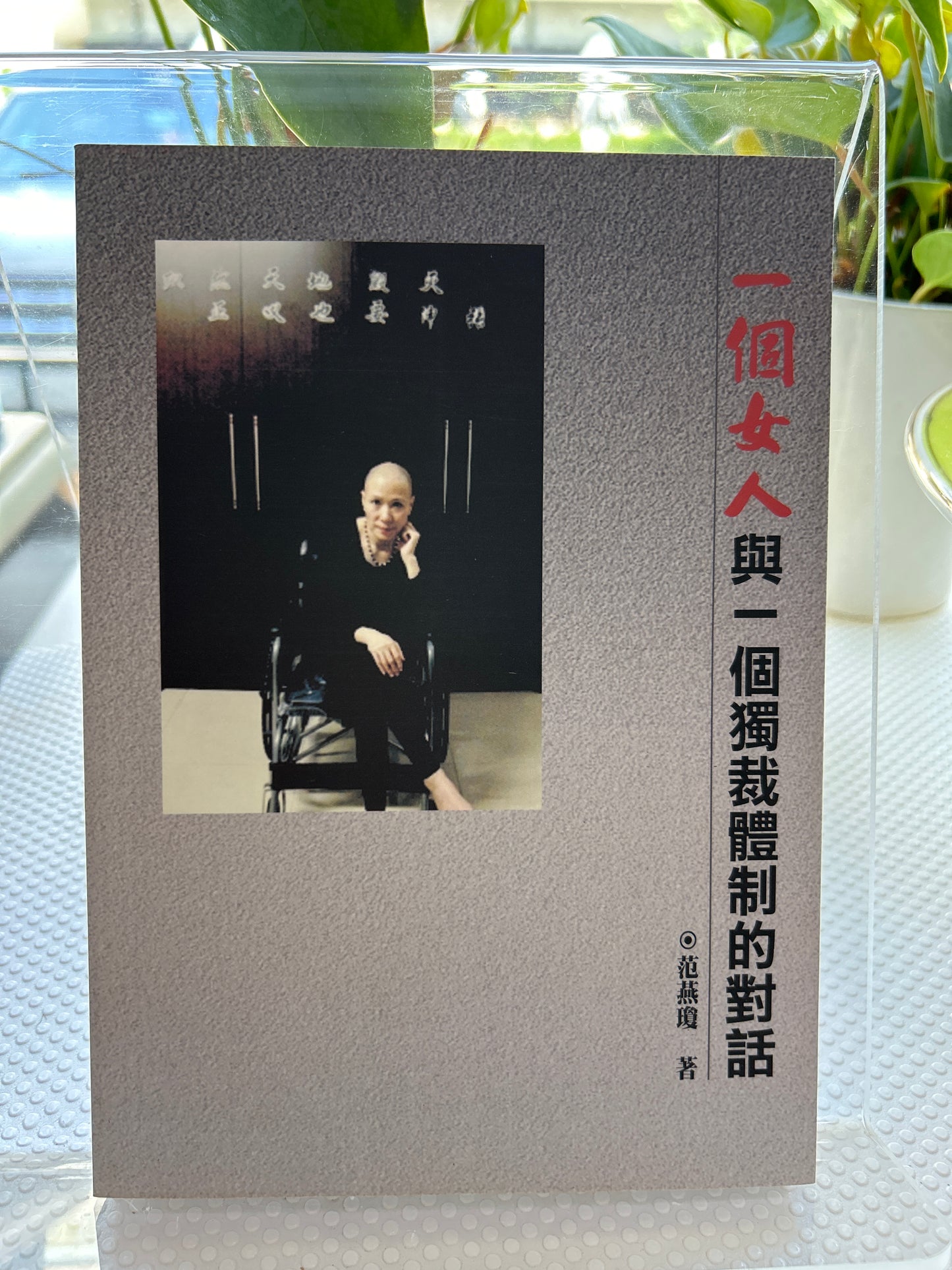一个女人与一个独裁体制的对话