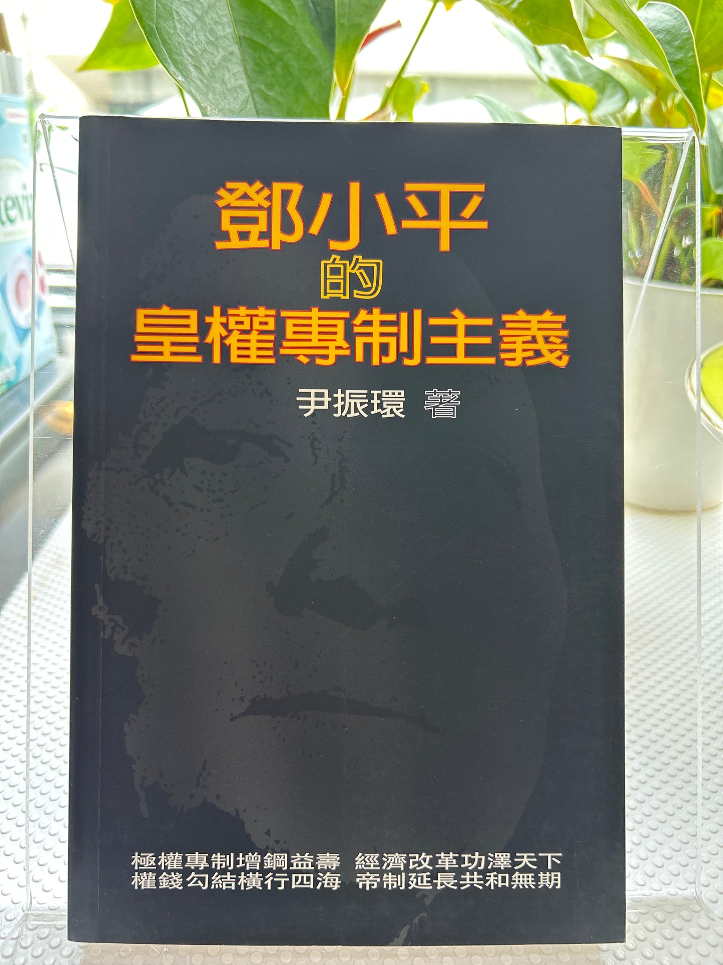 鄧小平的皇權專制主義