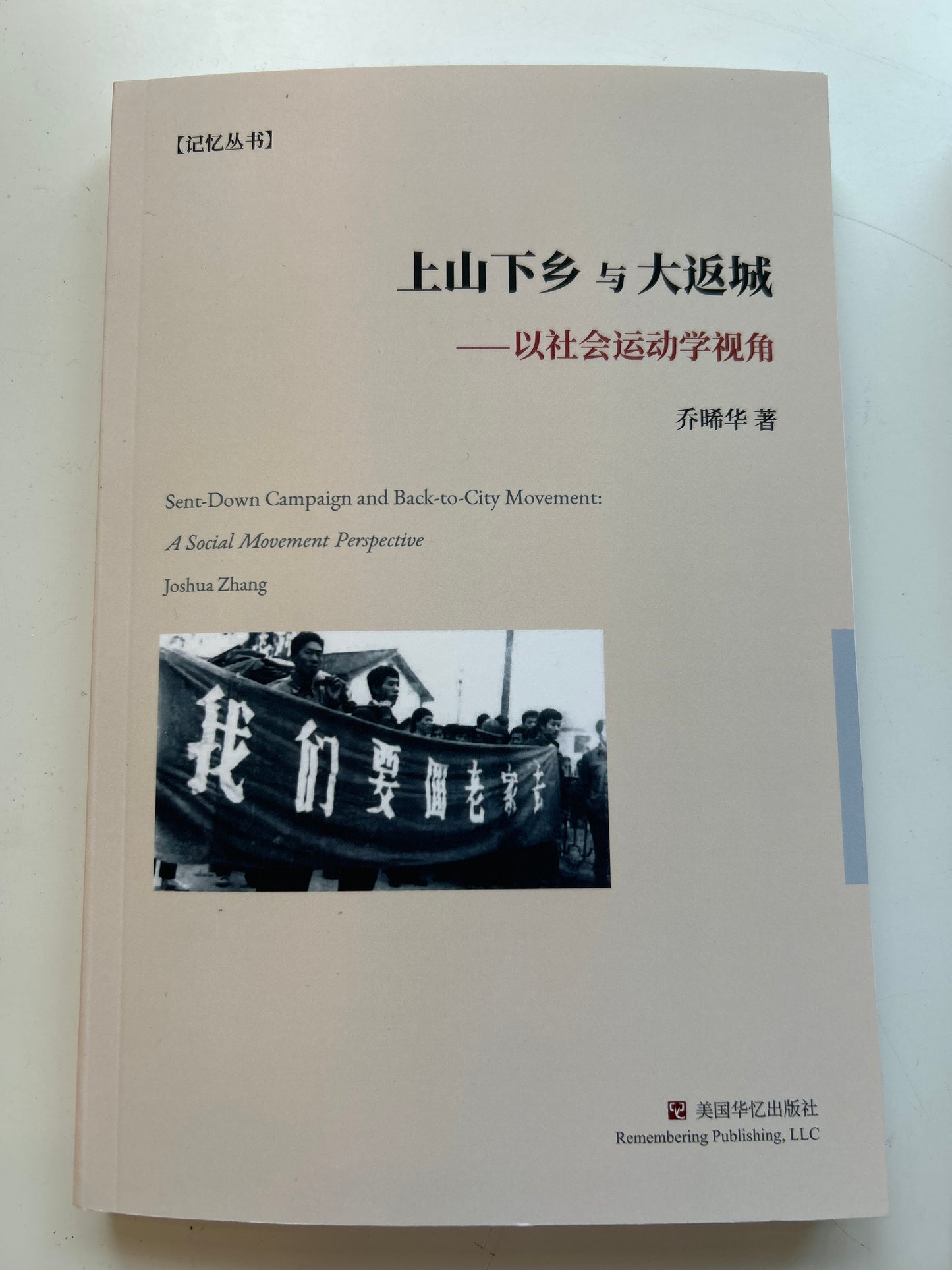 上山下鄉與大返城:以社會運動學視角
