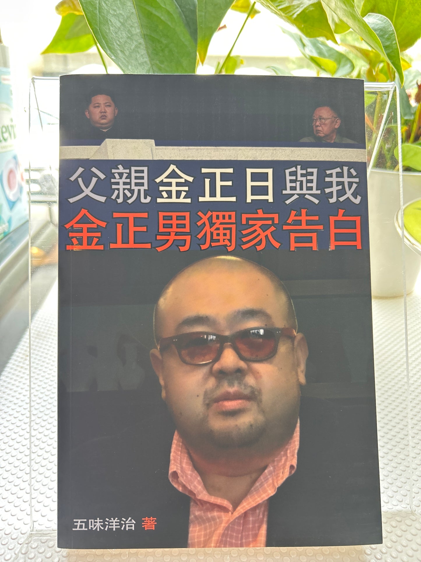 父亲金正日与我:金正男独家告白