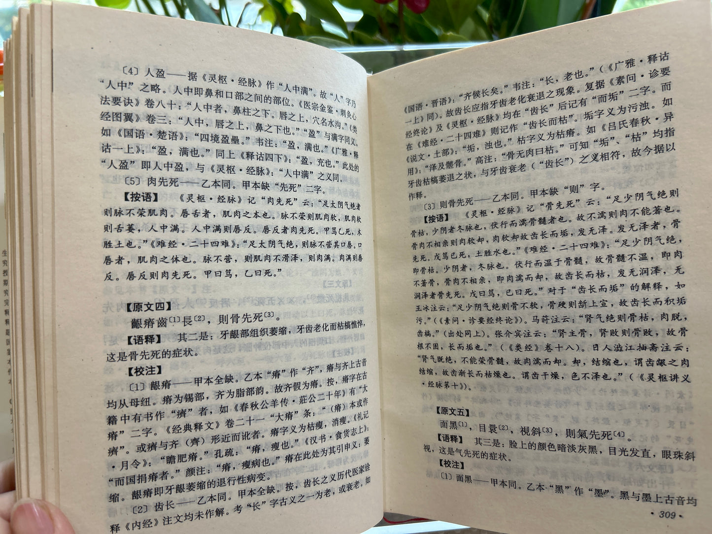 馬王堆 古醫書考釋