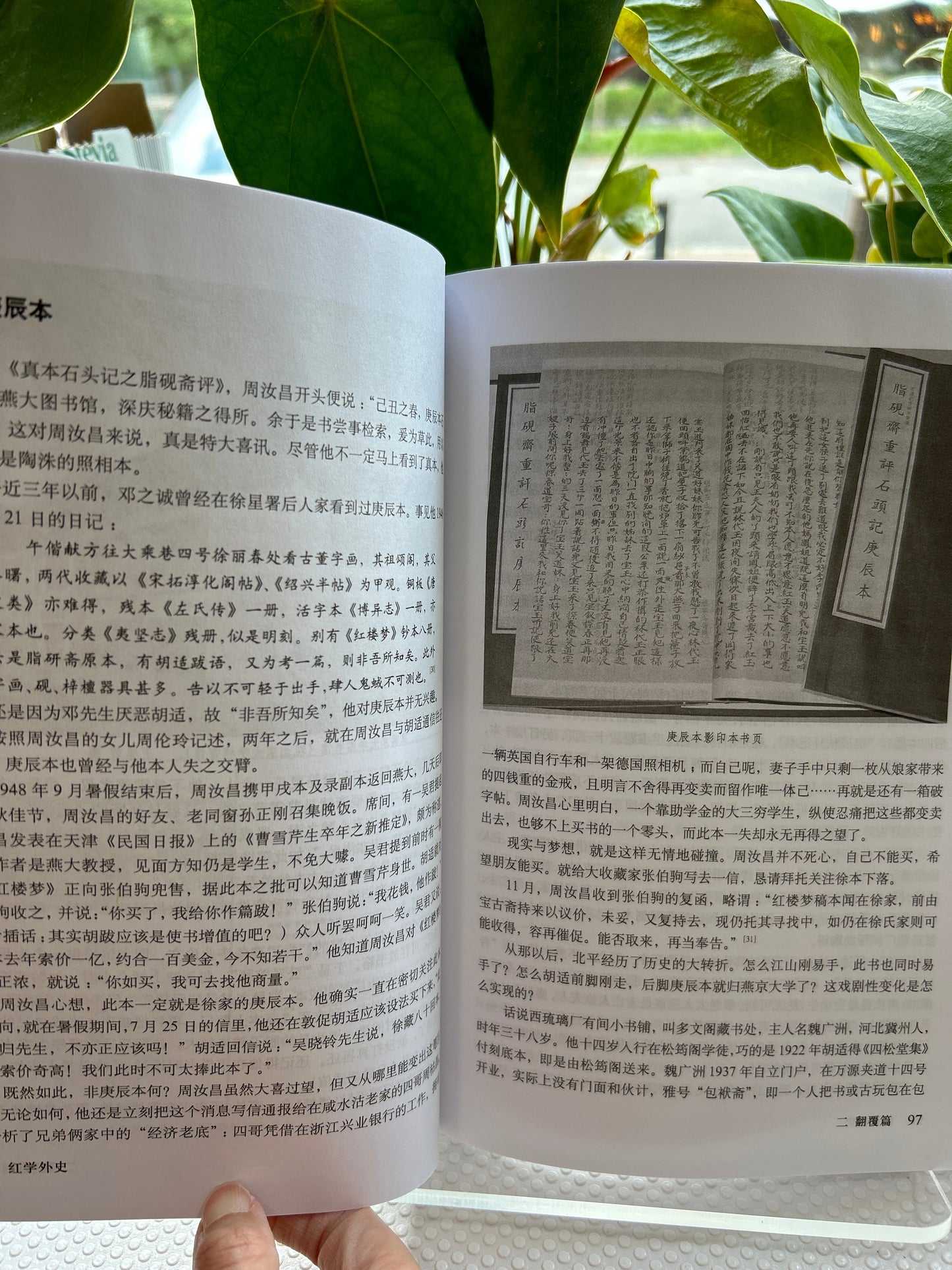 Redology Scholars vol I 紅學外歷史卷
