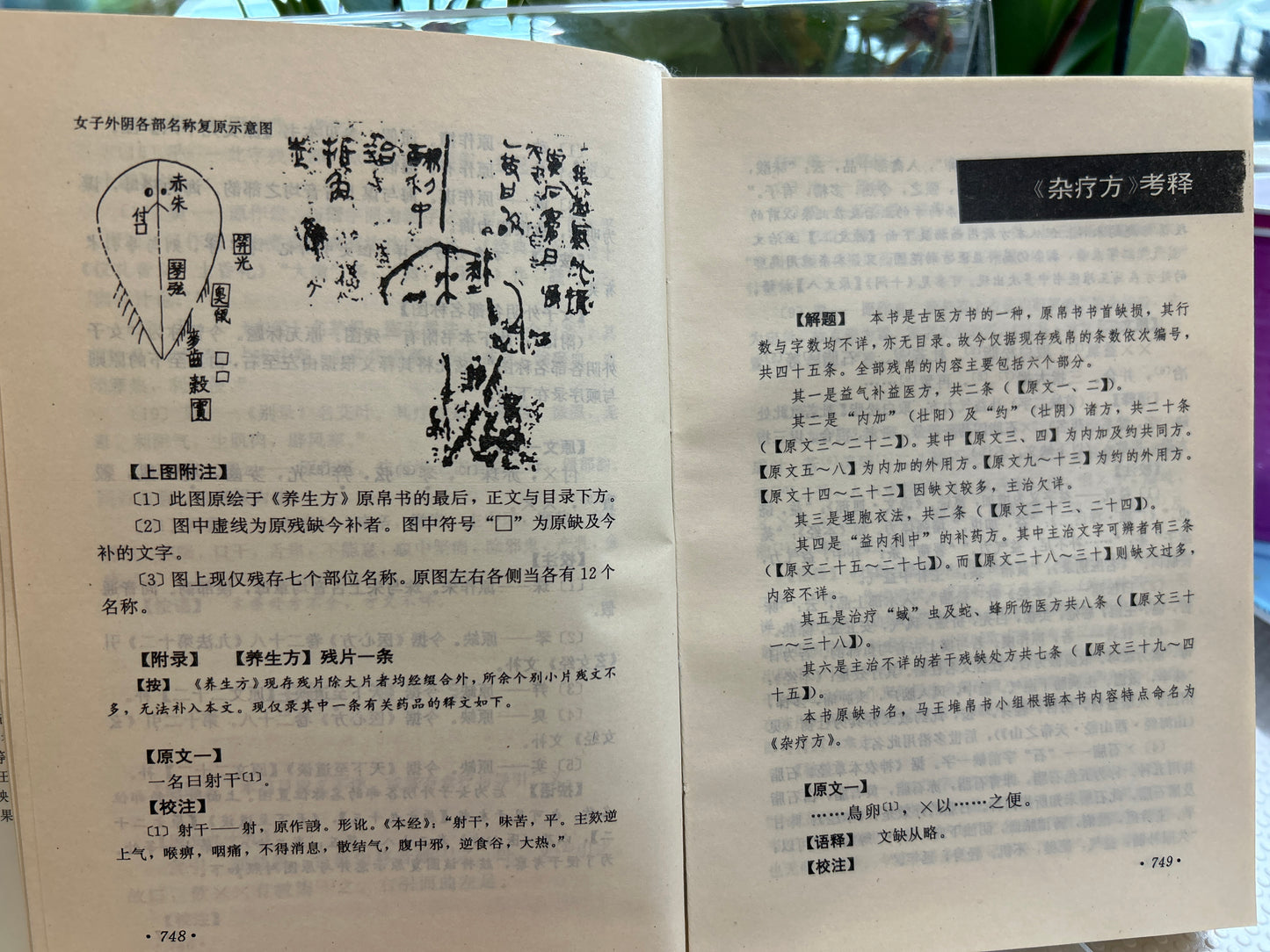 馬王堆 古醫書考釋
