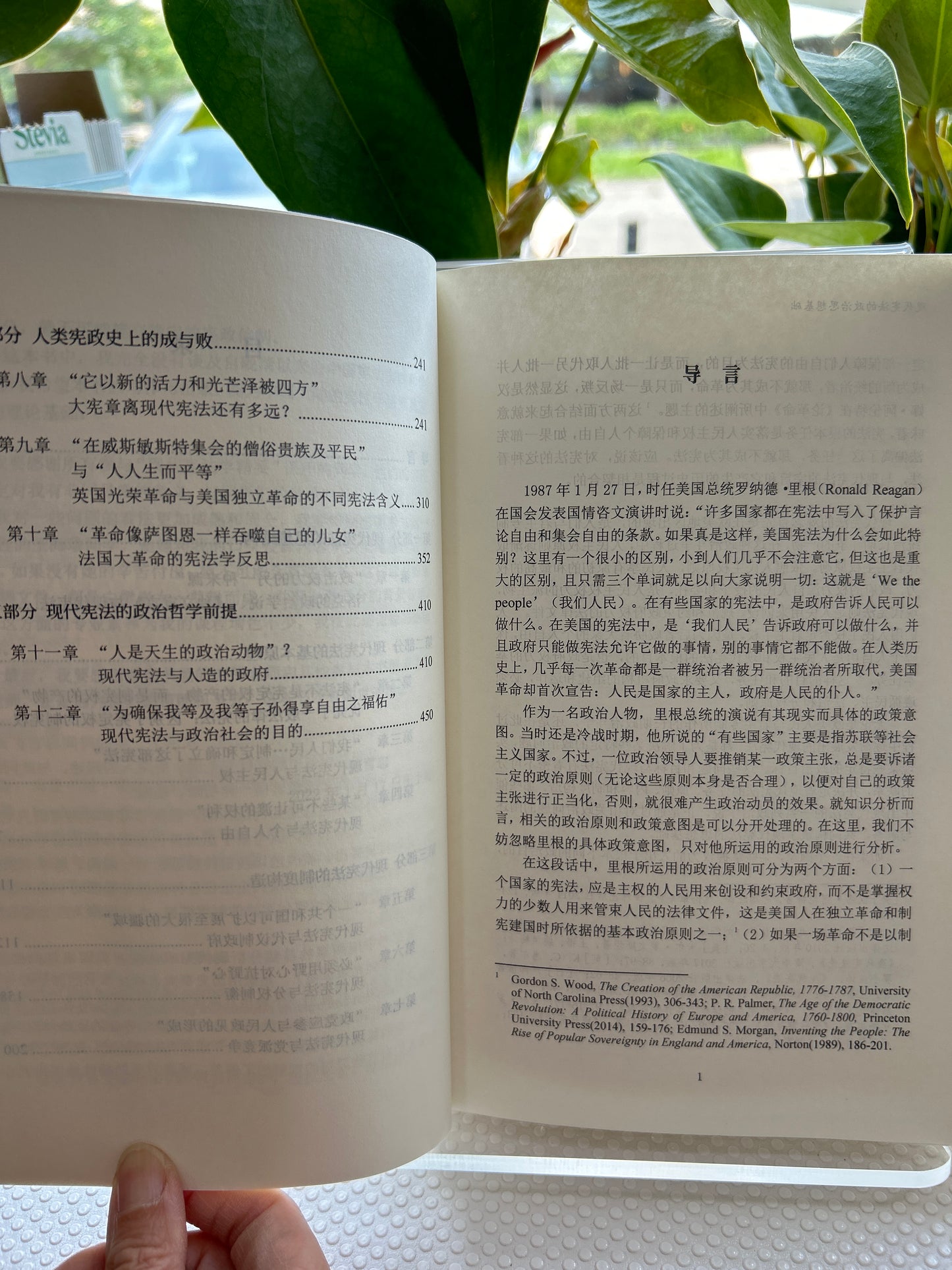 杉树坡---一个家族的百年故事
