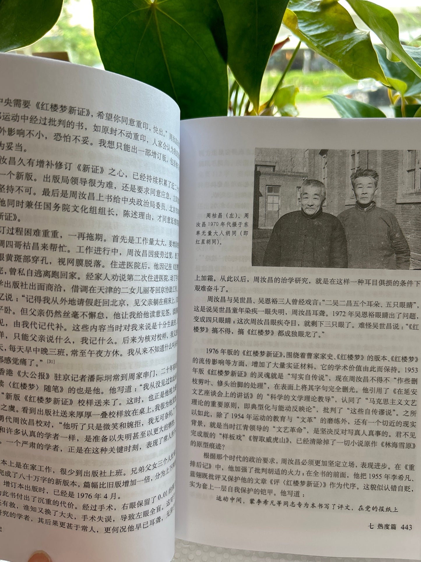 Redology Scholars vol II 紅學外史下卷