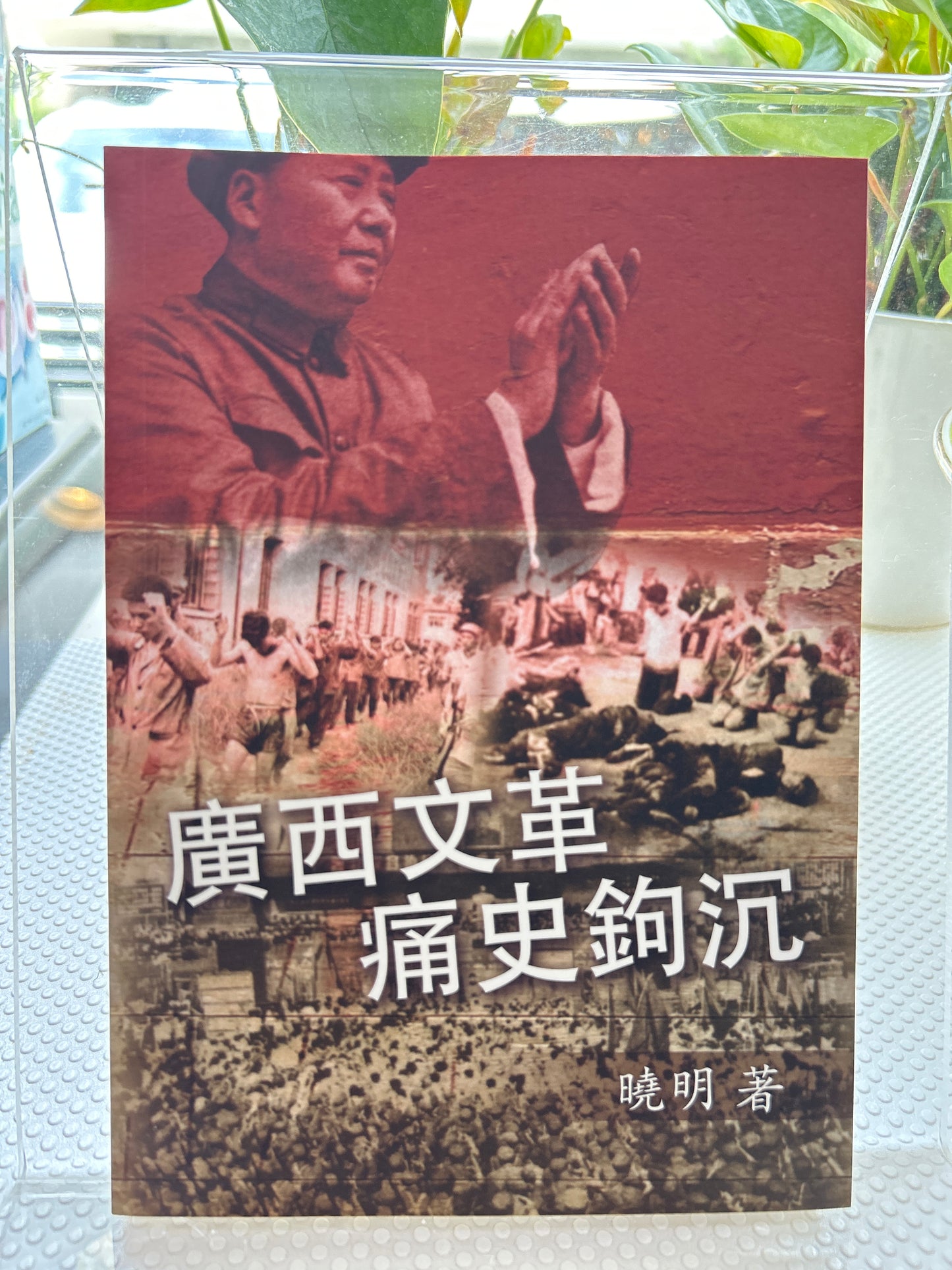 广西文革痛史钩沉