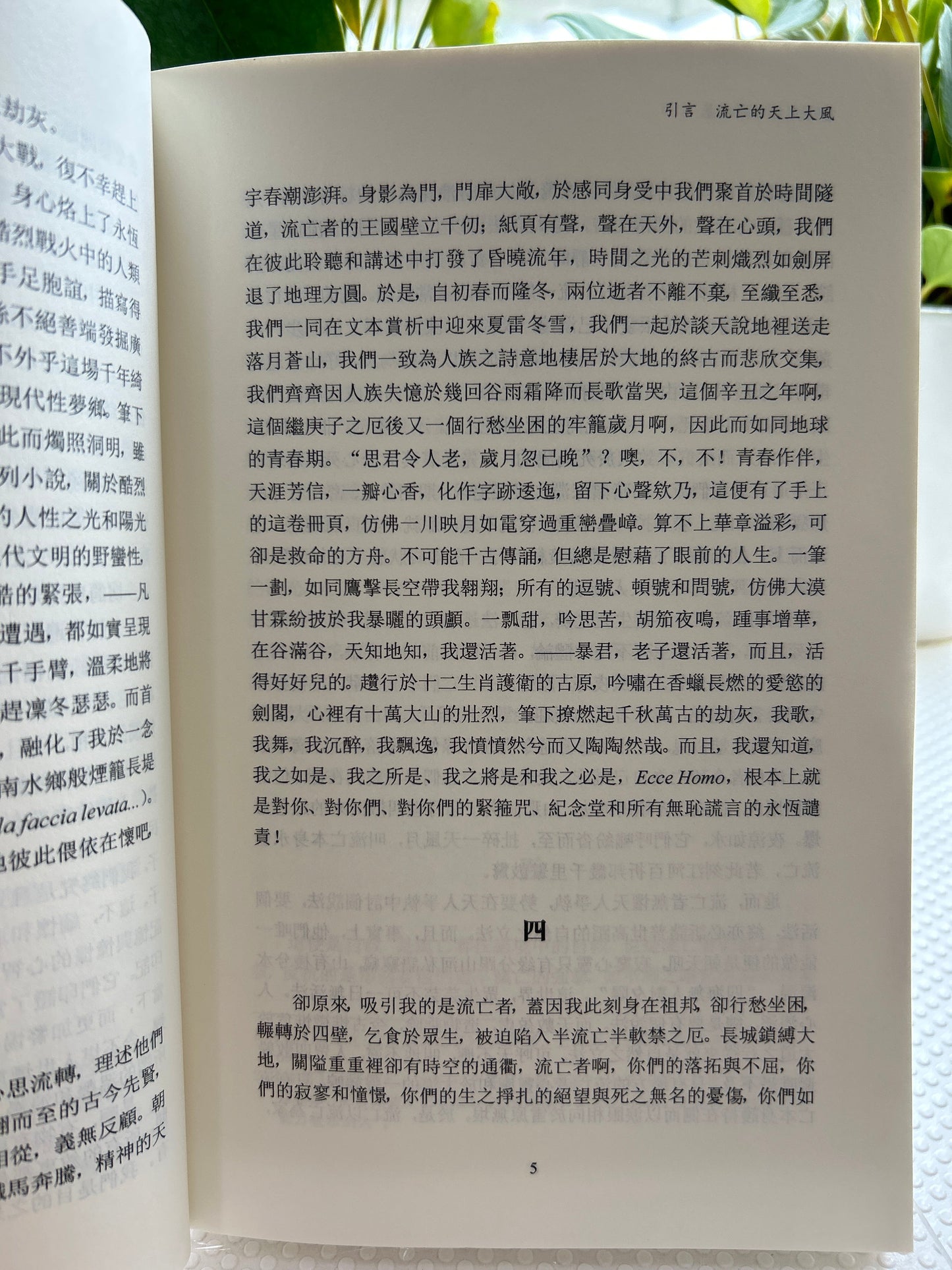 雷马克与布罗茨基:一种基于劫灰意识的反驳