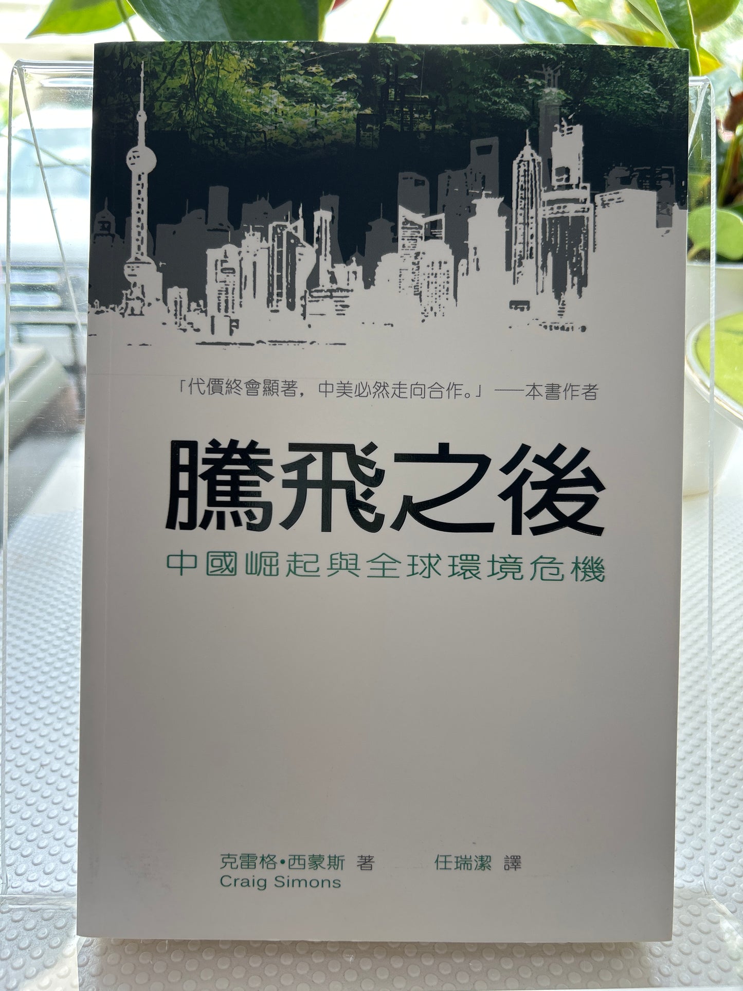 起飛後:中國崛起與全球環境危機